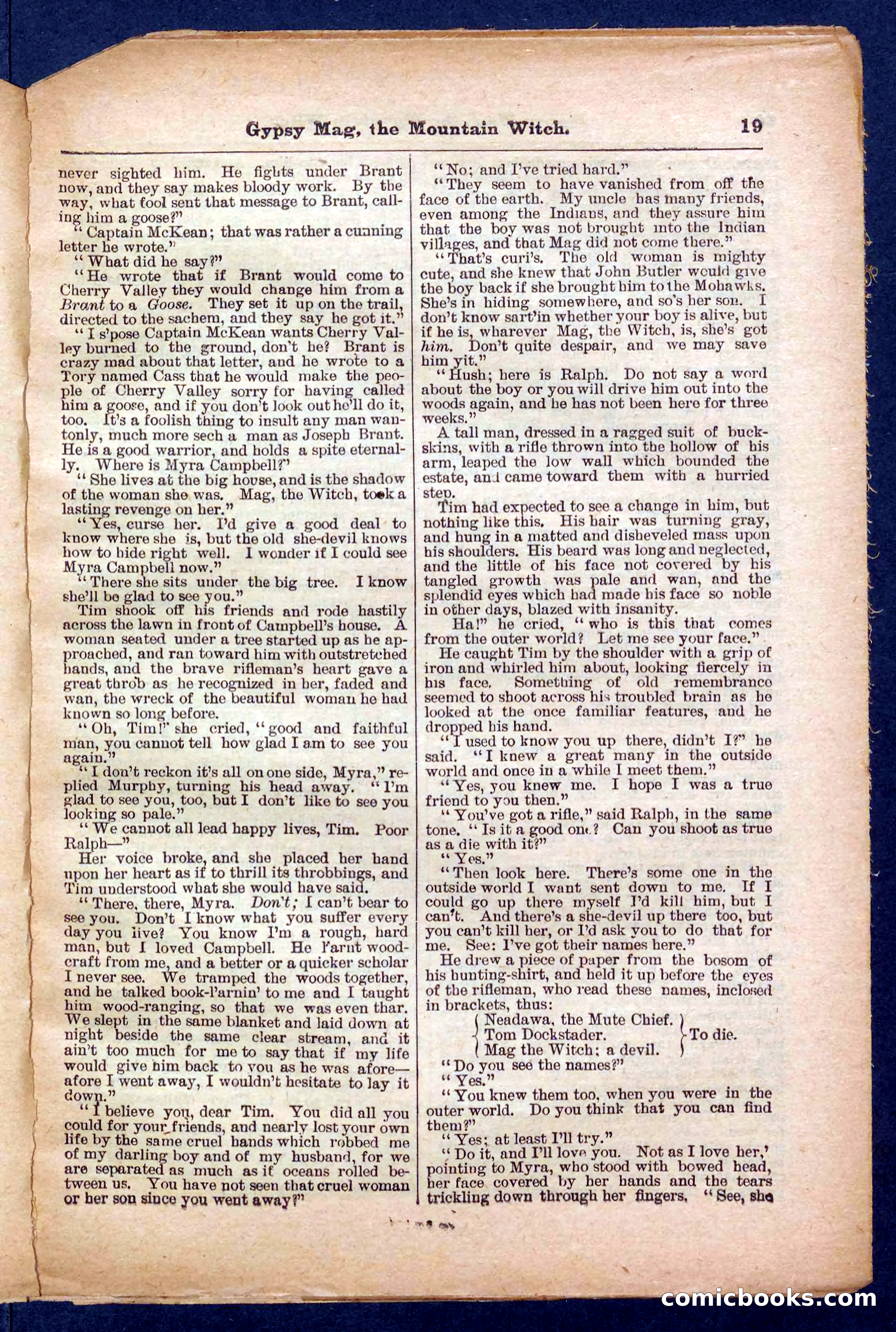 Beadle's Pocket Library No. 474 — page 19 of 32