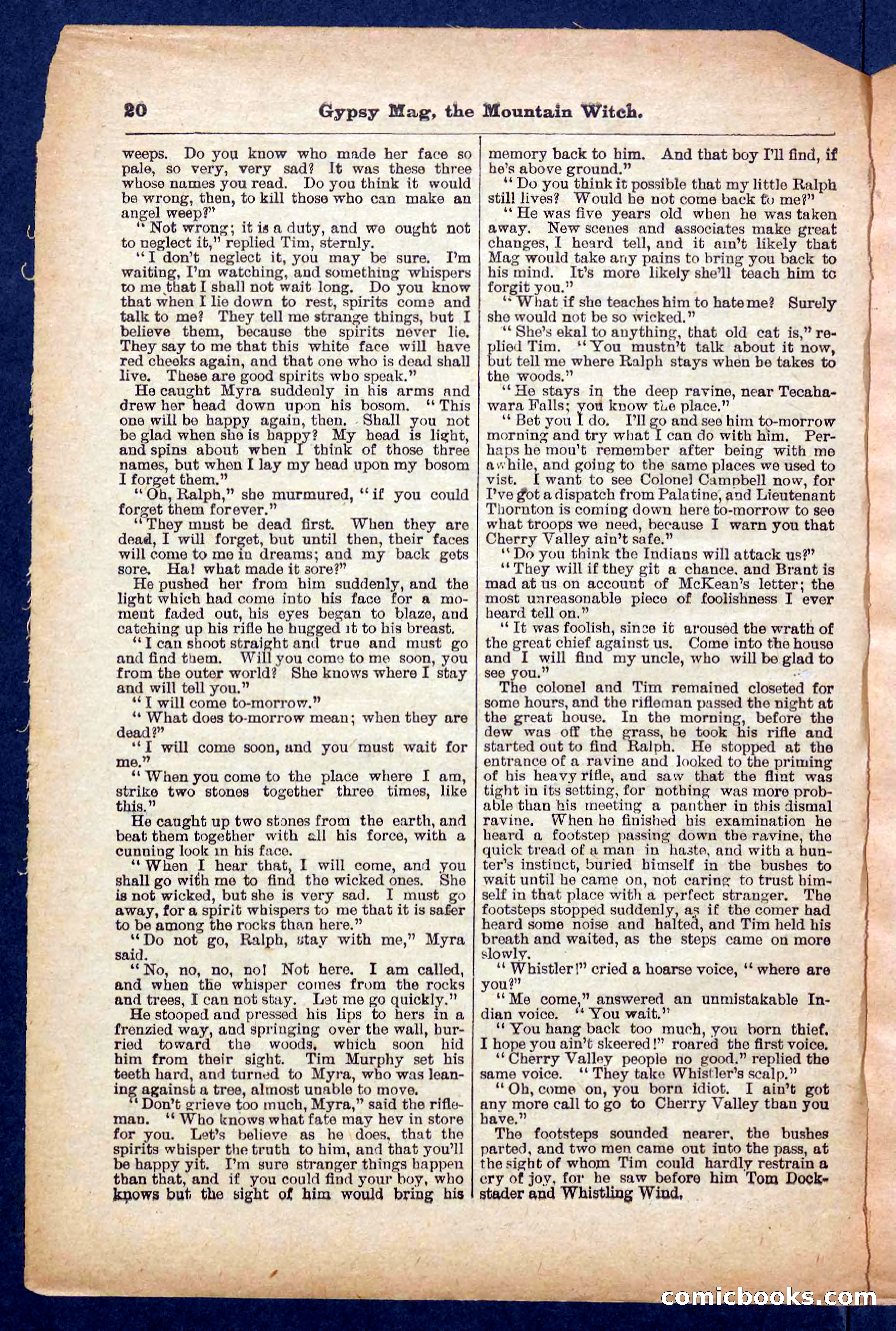 Beadle's Pocket Library No. 474 — page 20 of 32