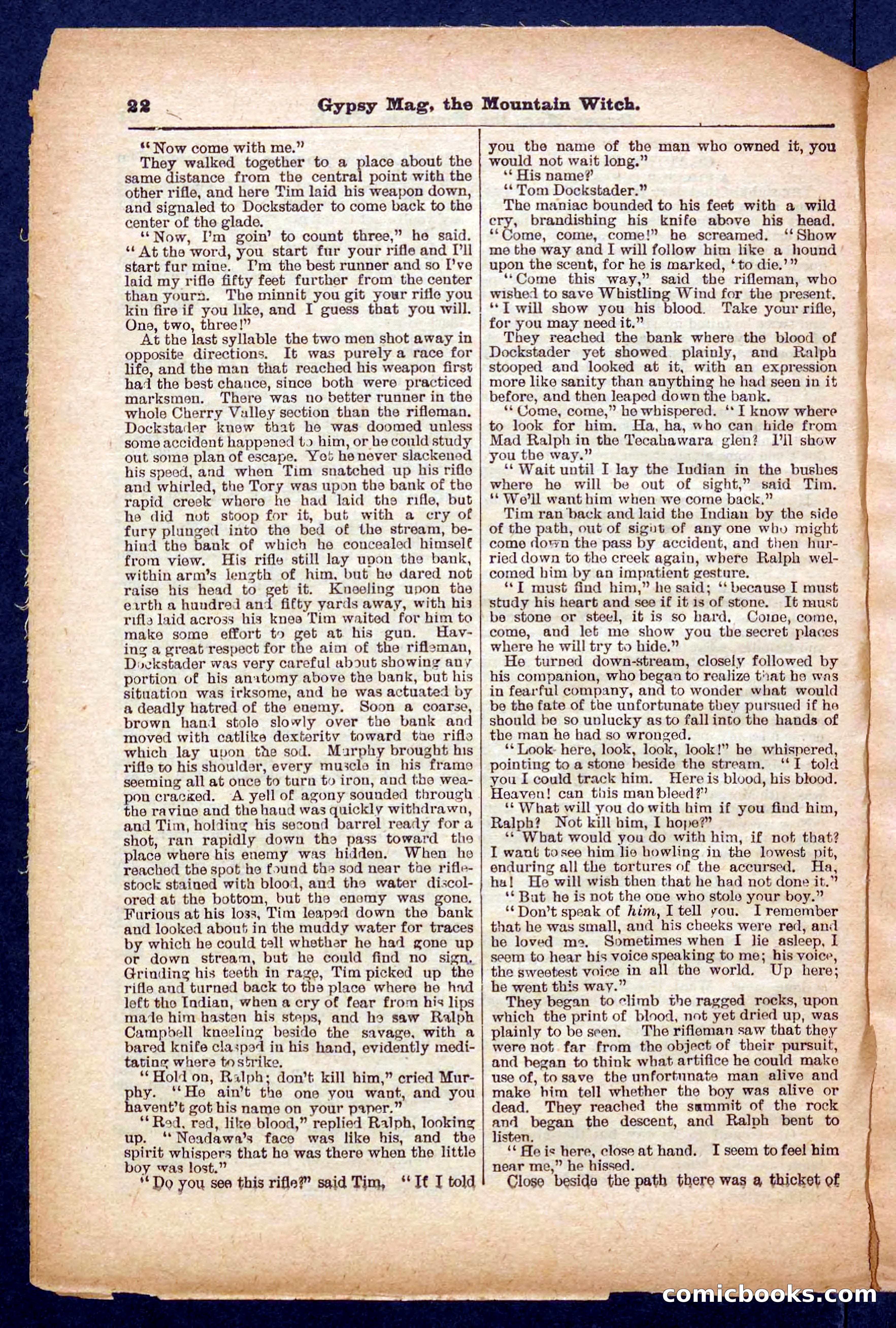Beadle's Pocket Library No. 474 — page 22 of 32