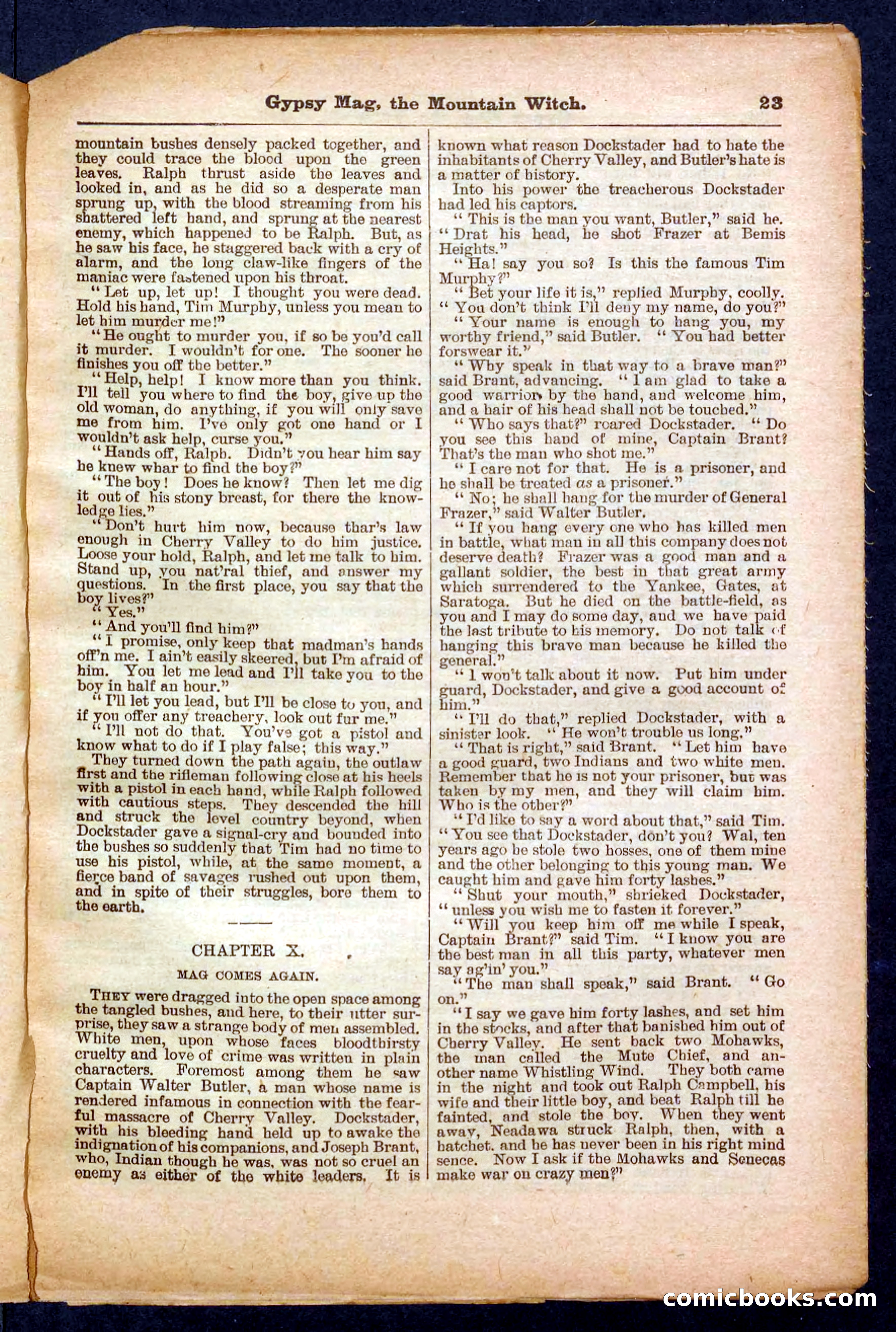 Beadle's Pocket Library No. 474 — page 23 of 32