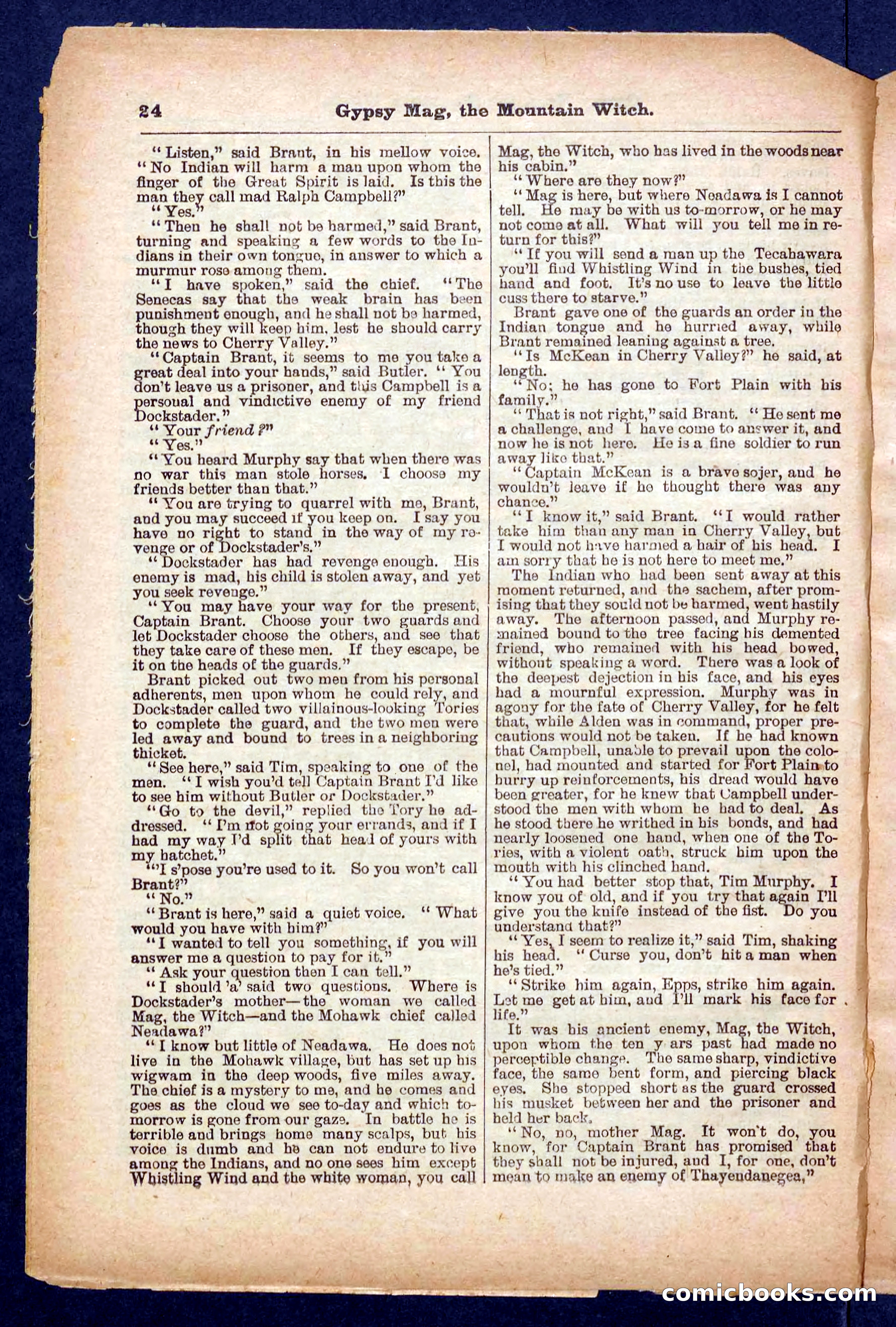 Beadle's Pocket Library No. 474 — page 24 of 32