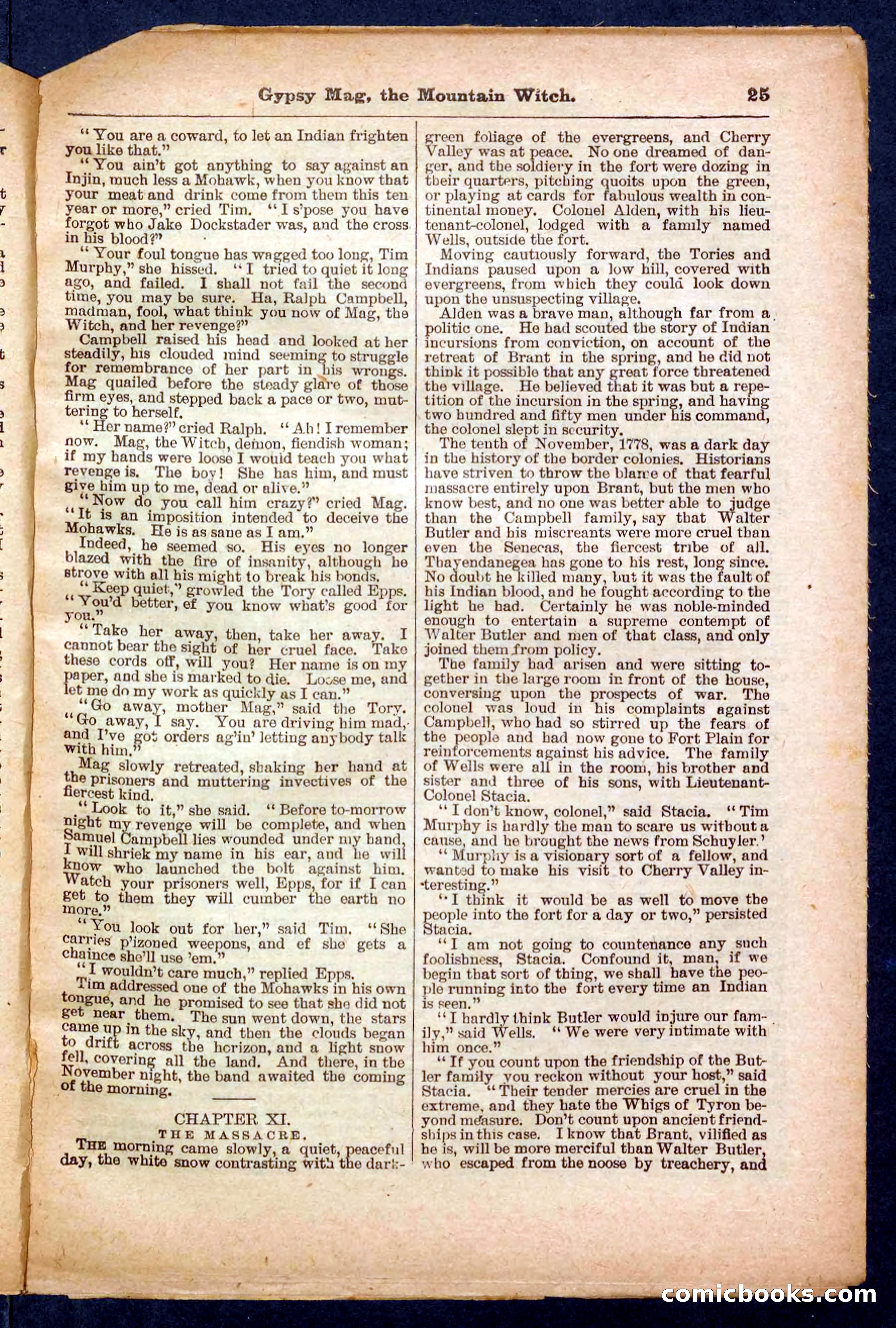 Beadle's Pocket Library No. 474 — page 25 of 32