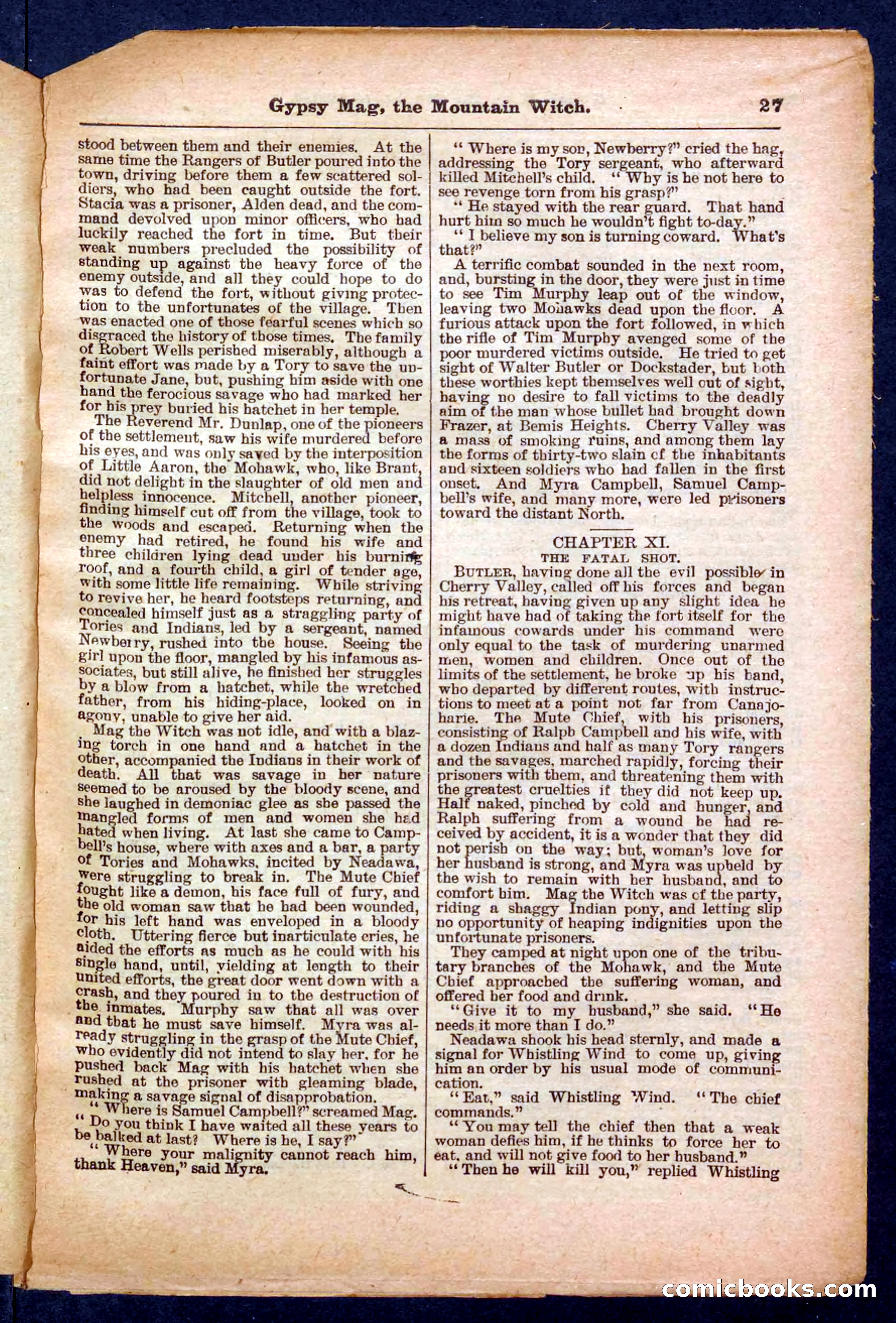 Beadle's Pocket Library No. 474 — page 27 of 32