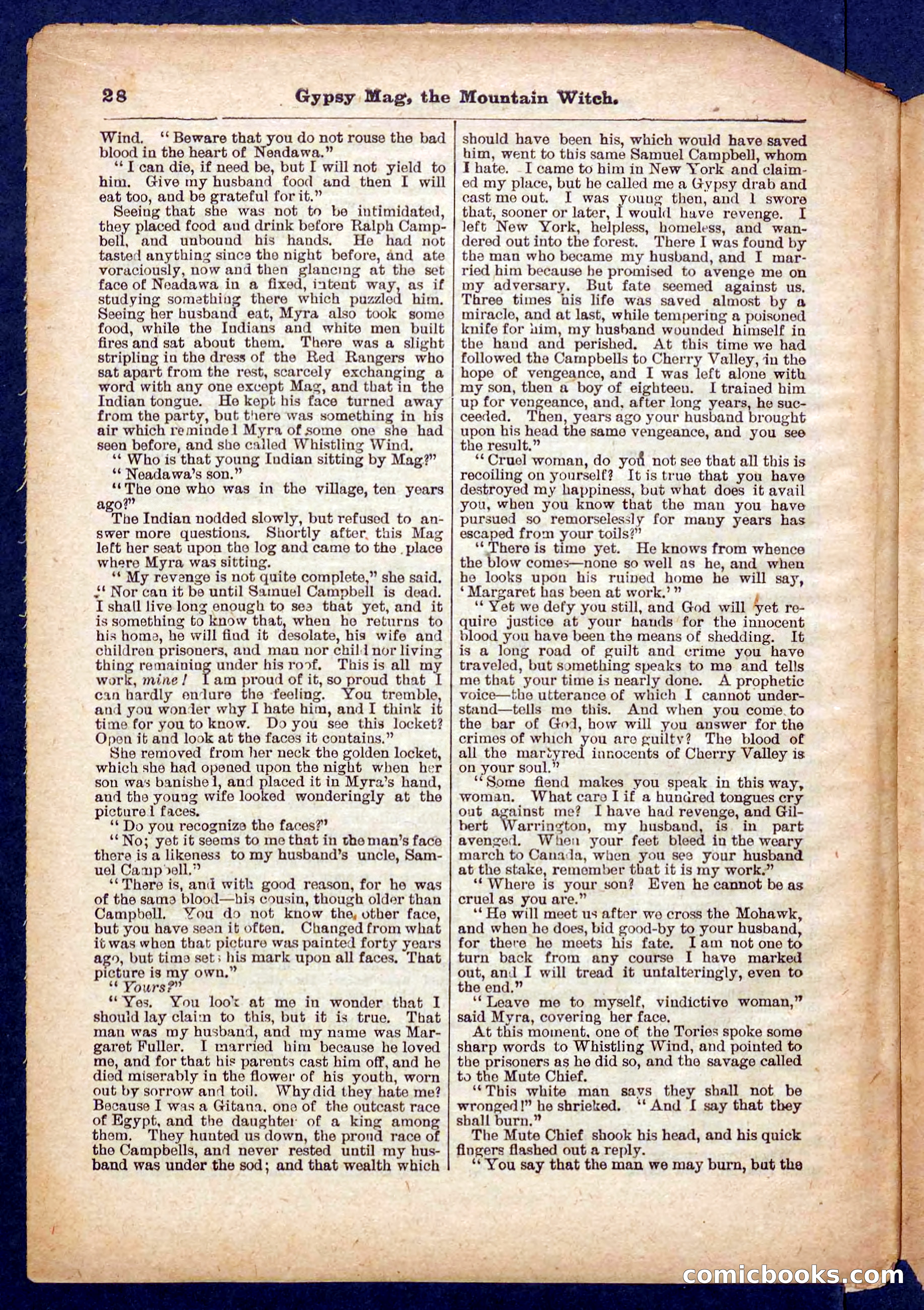 Beadle's Pocket Library No. 474 — page 28 of 32
