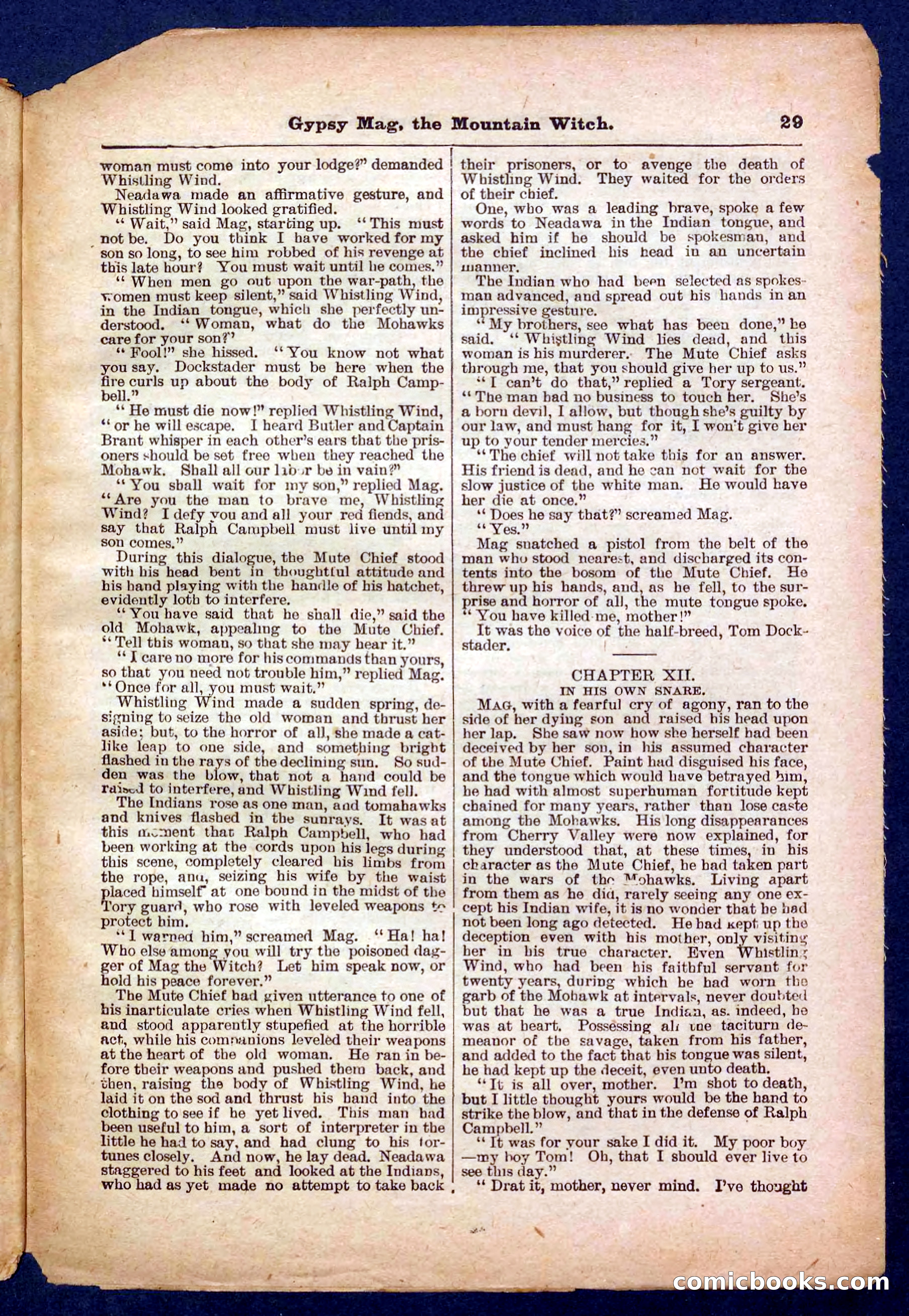 Beadle's Pocket Library No. 474 — page 29 of 32