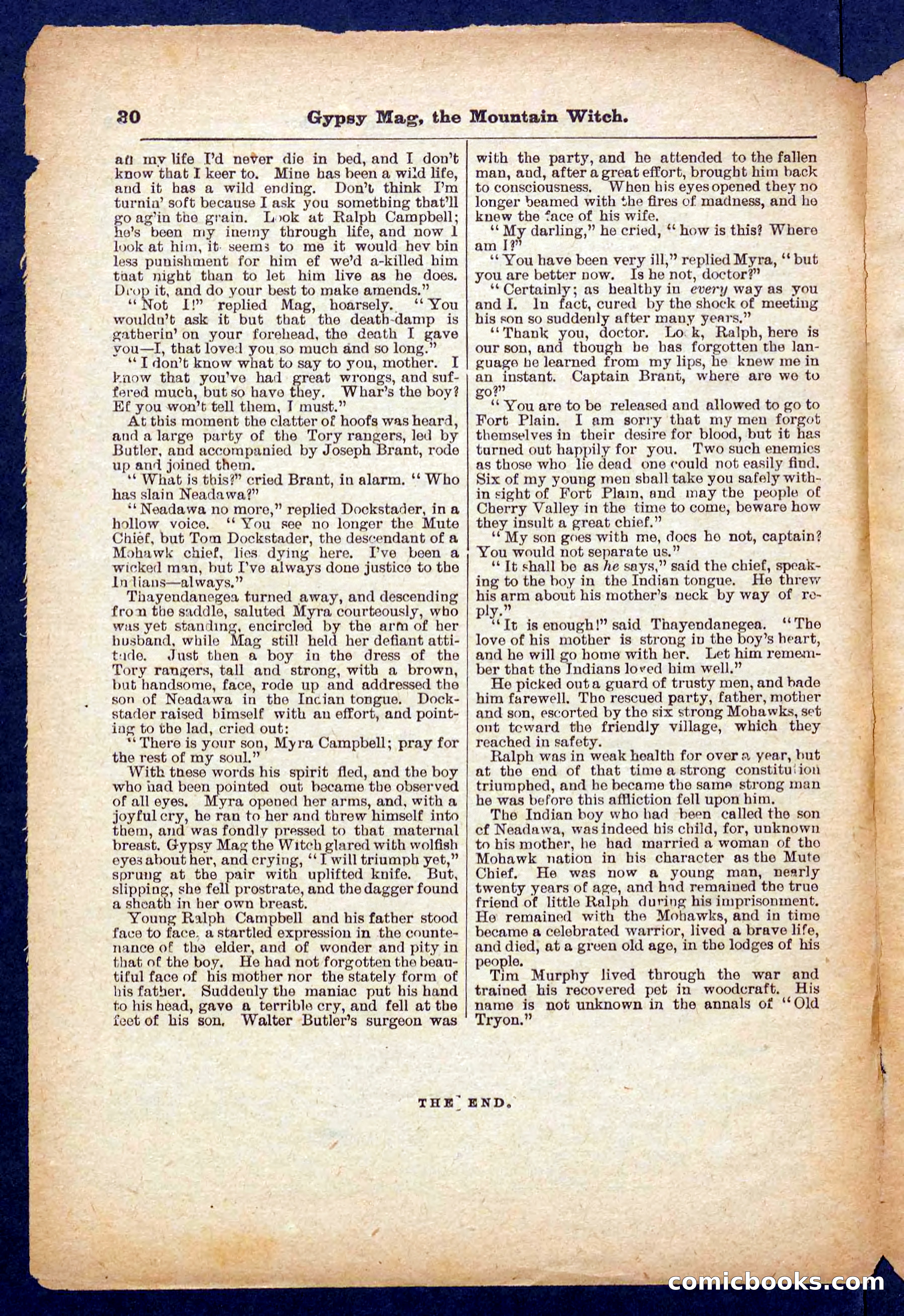 Beadle's Pocket Library No. 474 — page 30 of 32