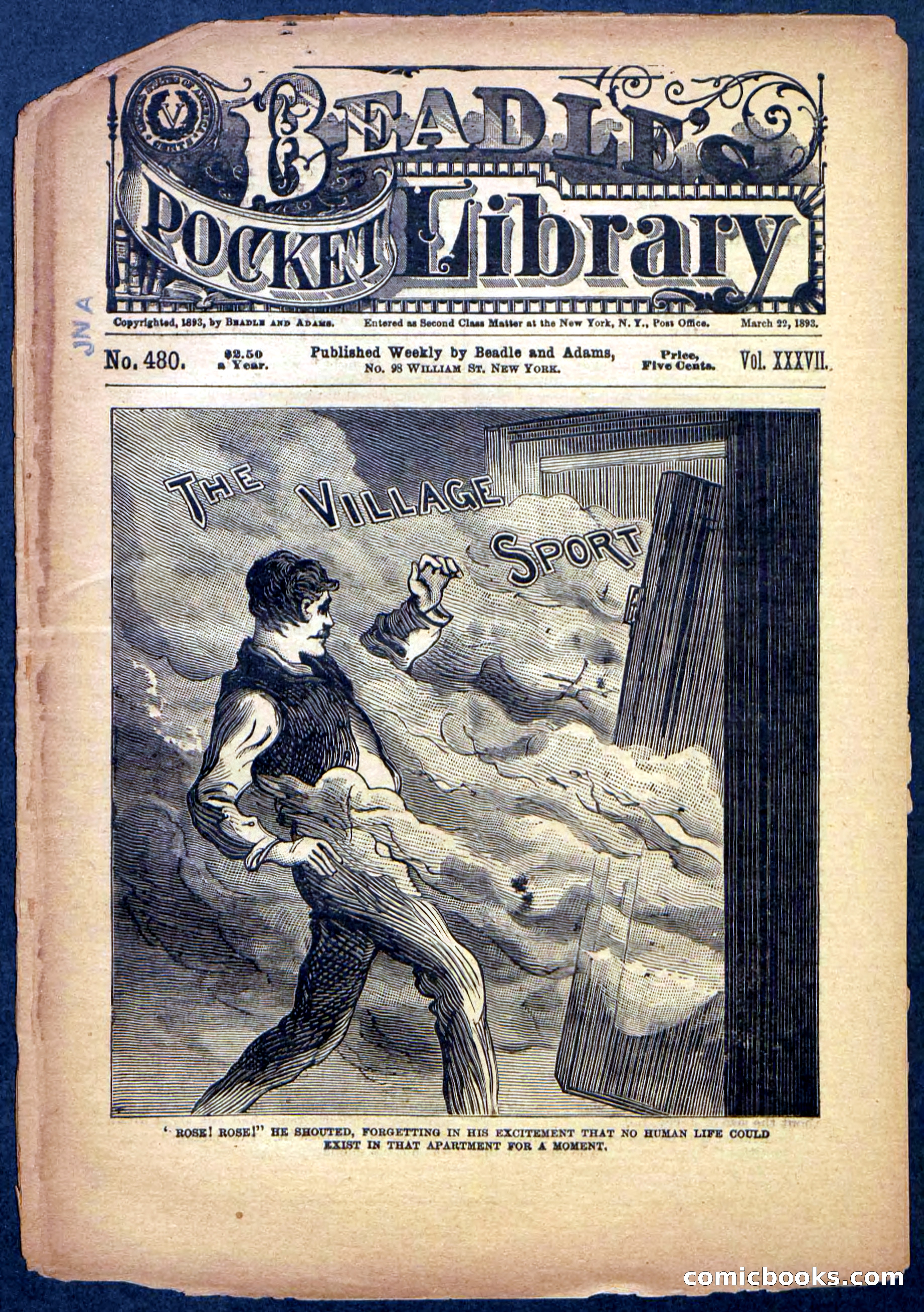 Beadle's Pocket Library No. 480