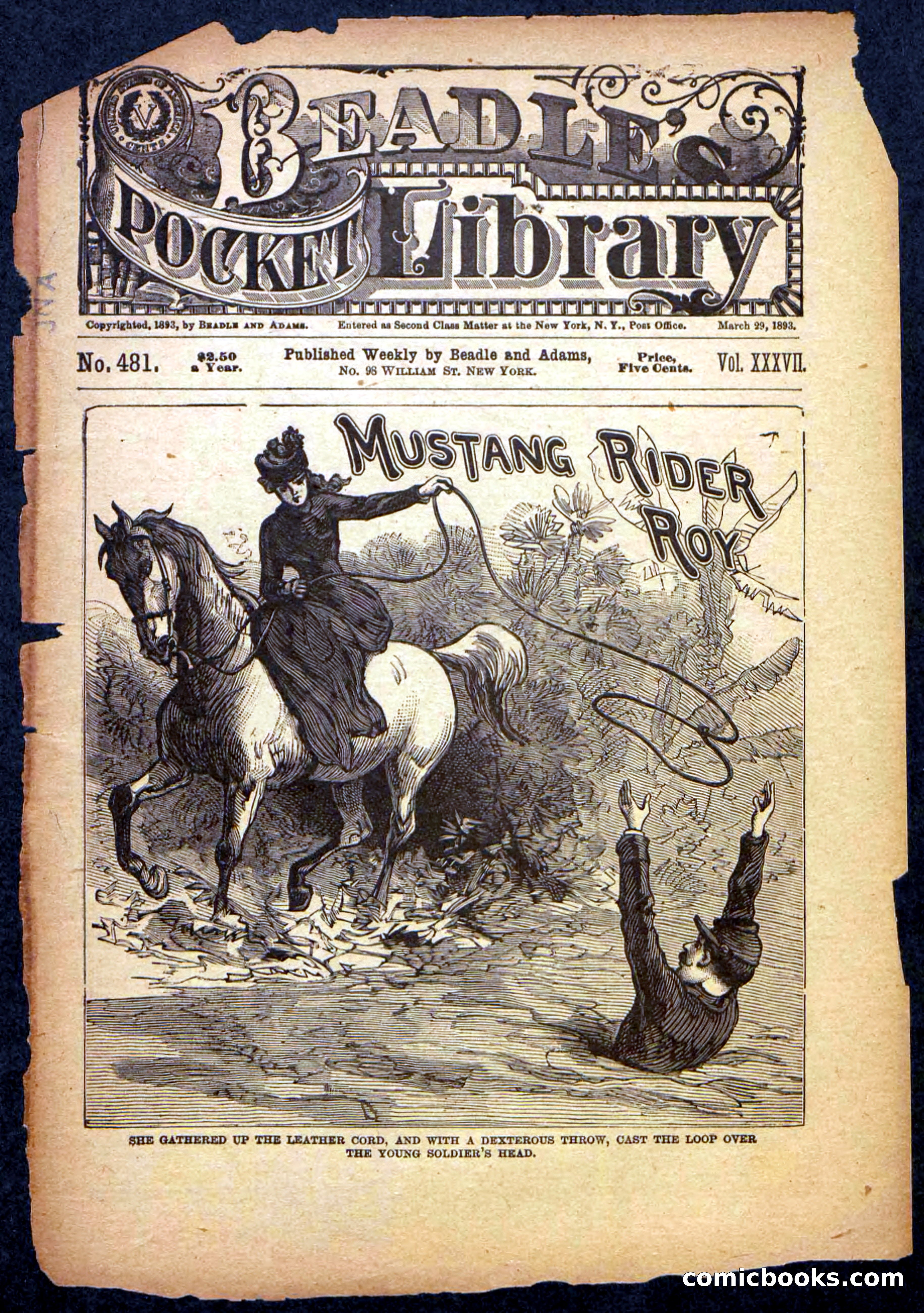Beadle's Pocket Library No. 481: Mustang Rider Roy — page 1 of 32