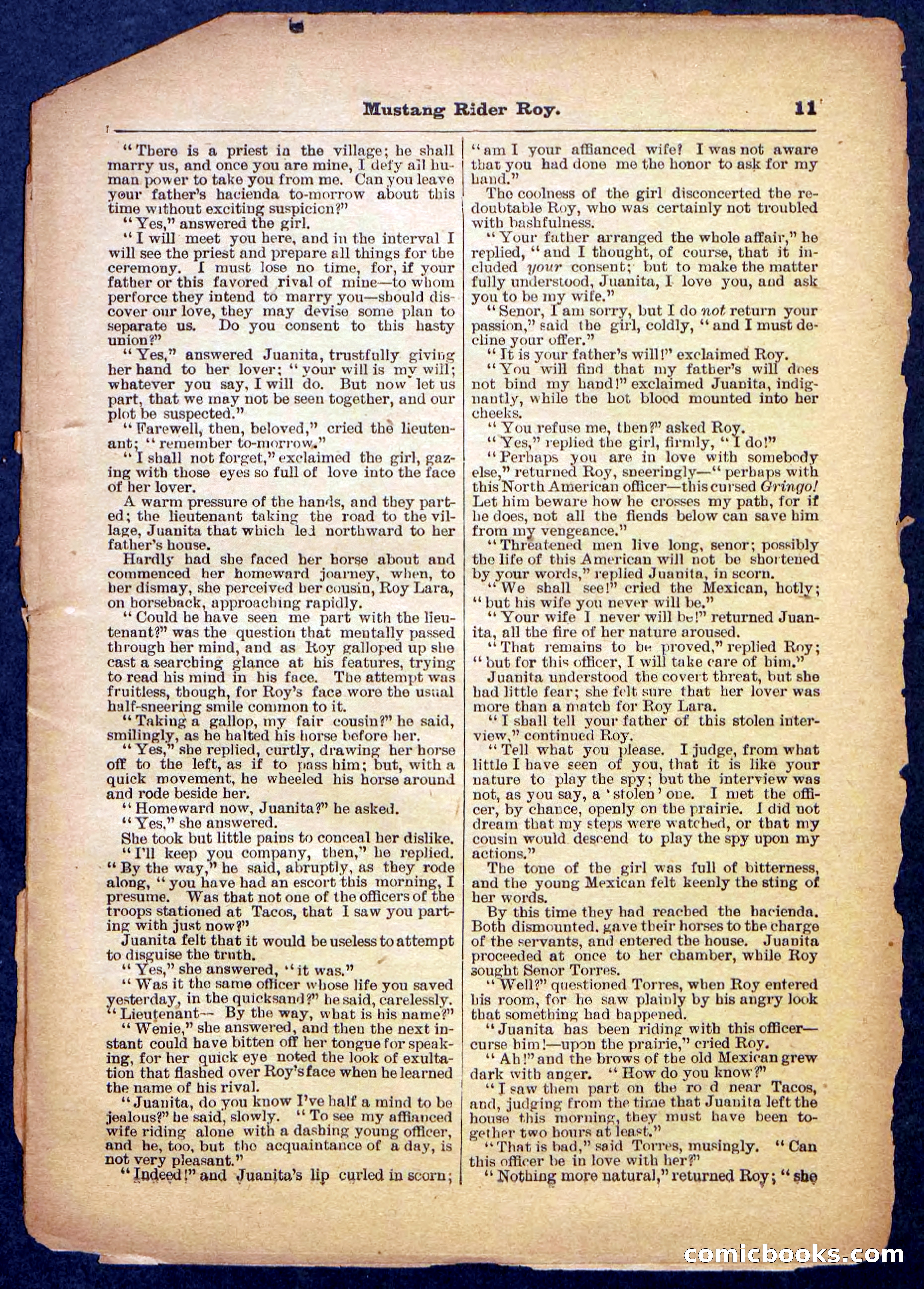 Beadle's Pocket Library No. 481: Mustang Rider Roy — page 11 of 32