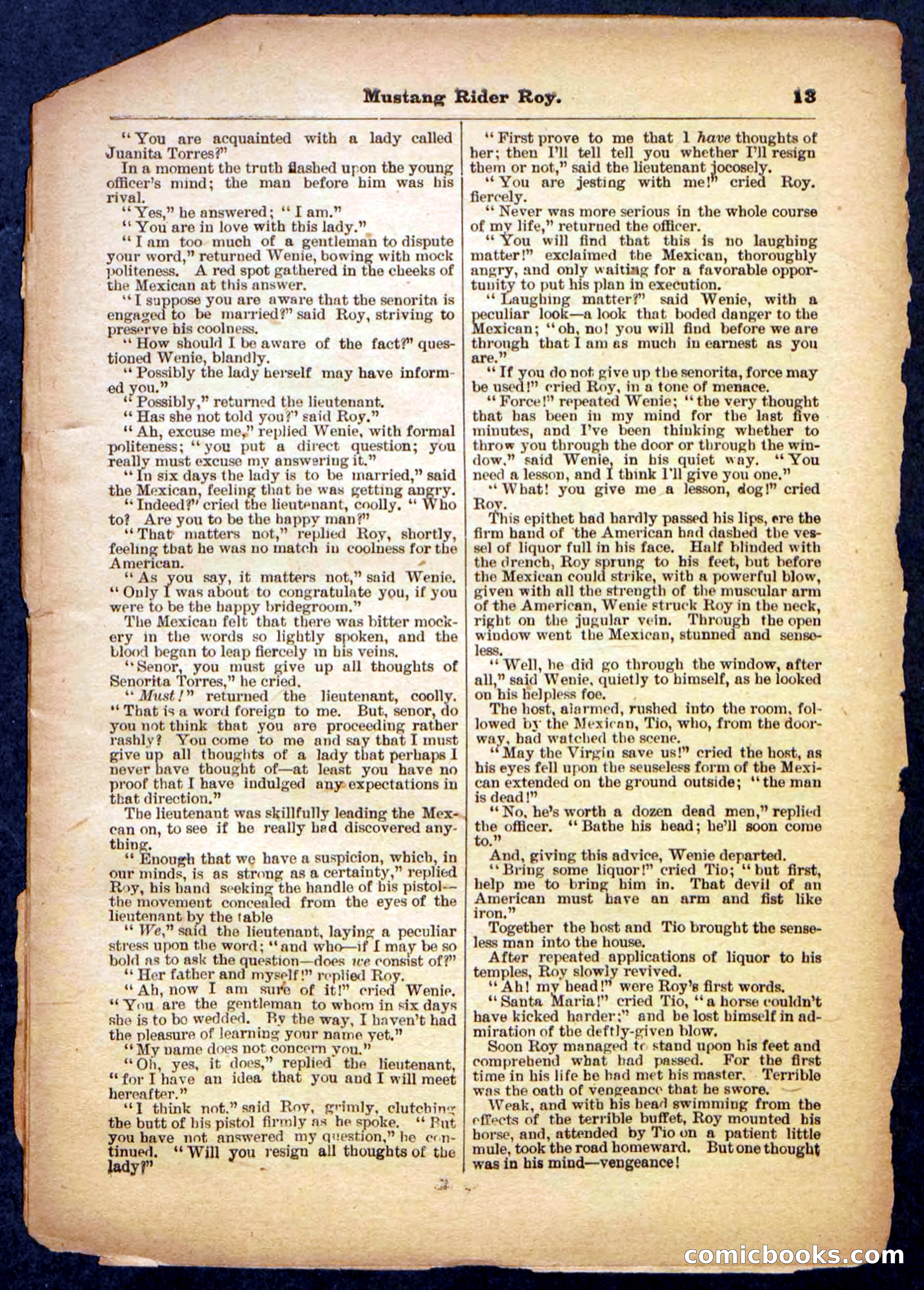 Beadle's Pocket Library No. 481: Mustang Rider Roy — page 13 of 32