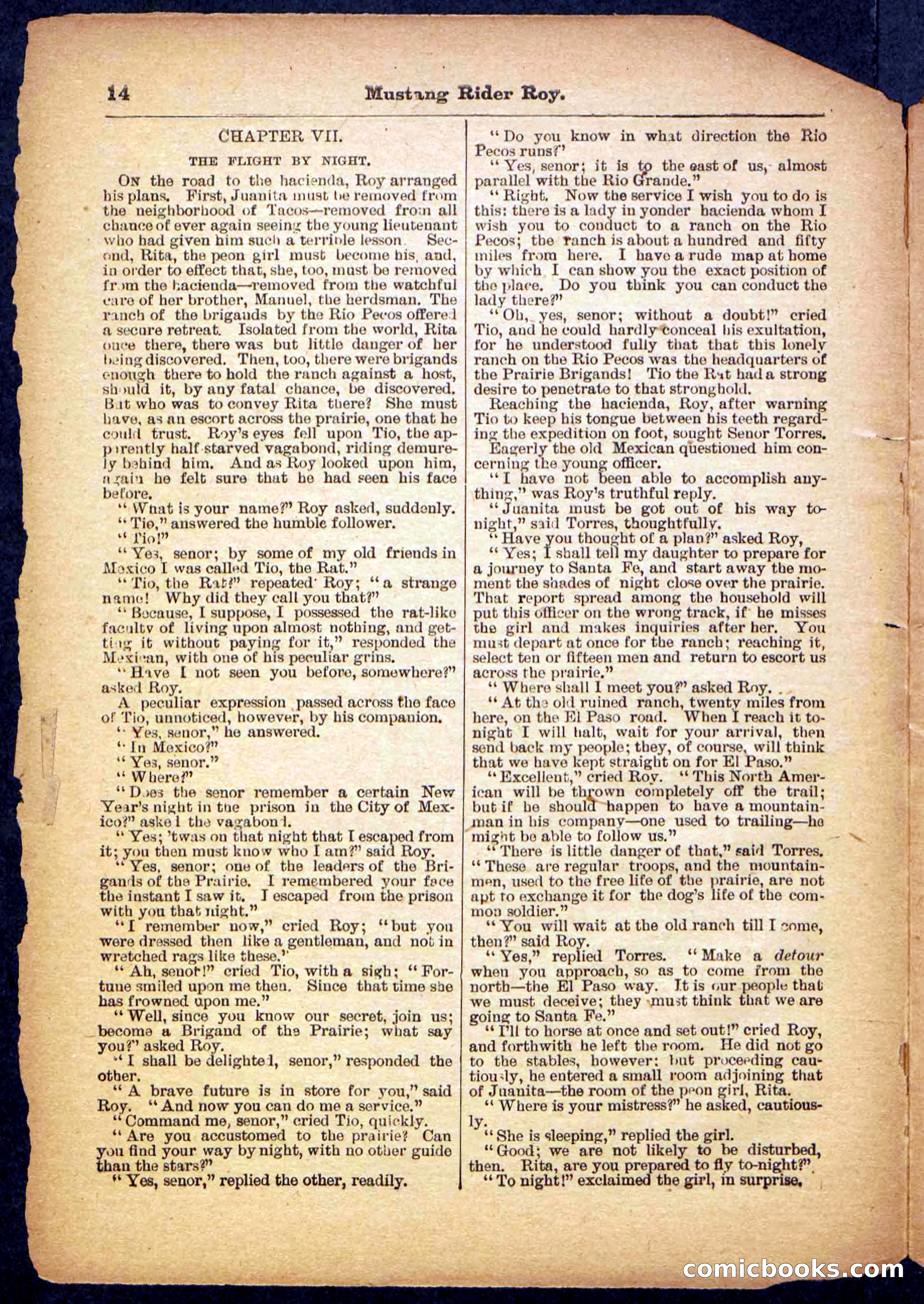 Beadle's Pocket Library No. 481: Mustang Rider Roy — page 14 of 32