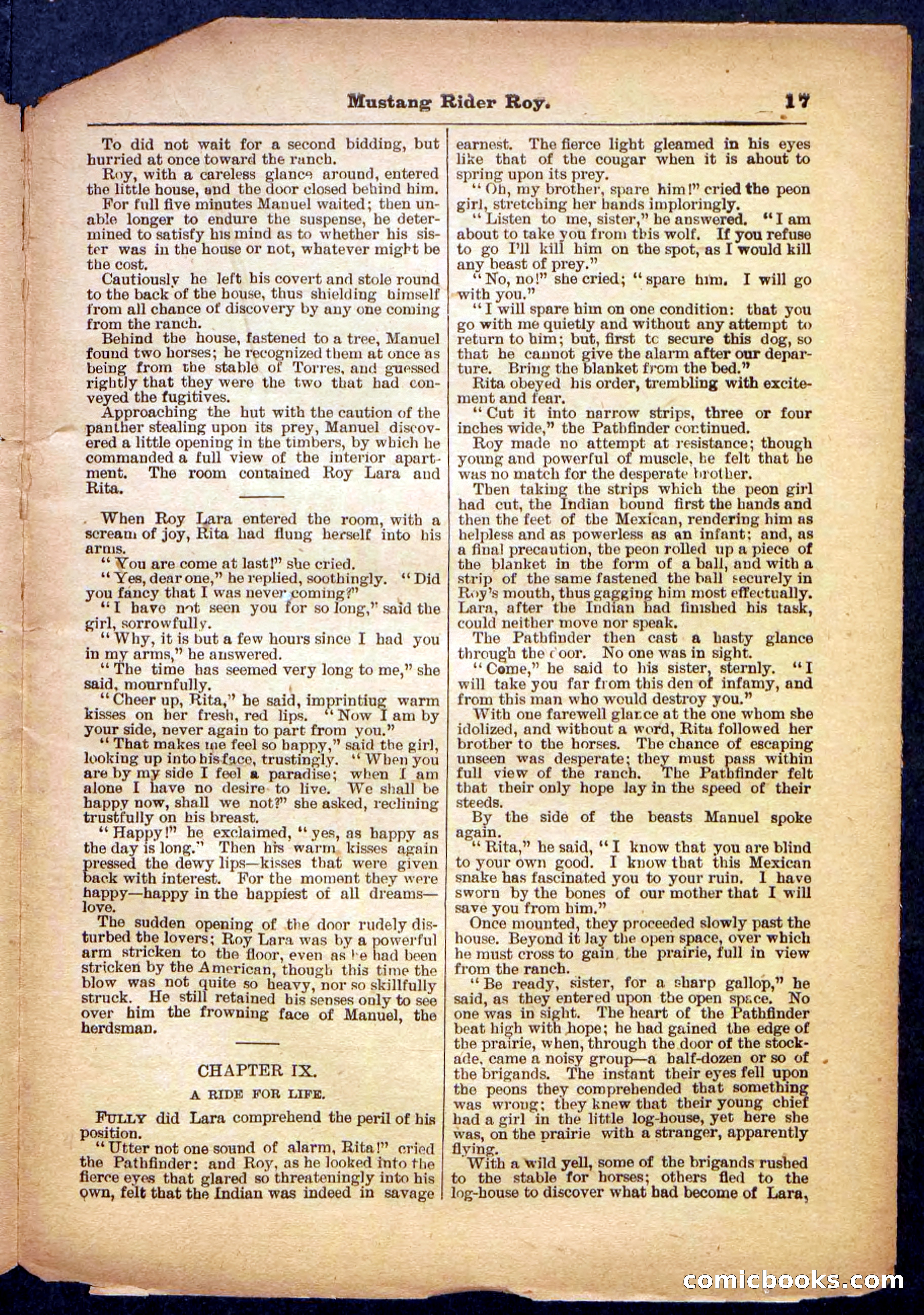 Beadle's Pocket Library No. 481: Mustang Rider Roy — page 17 of 32