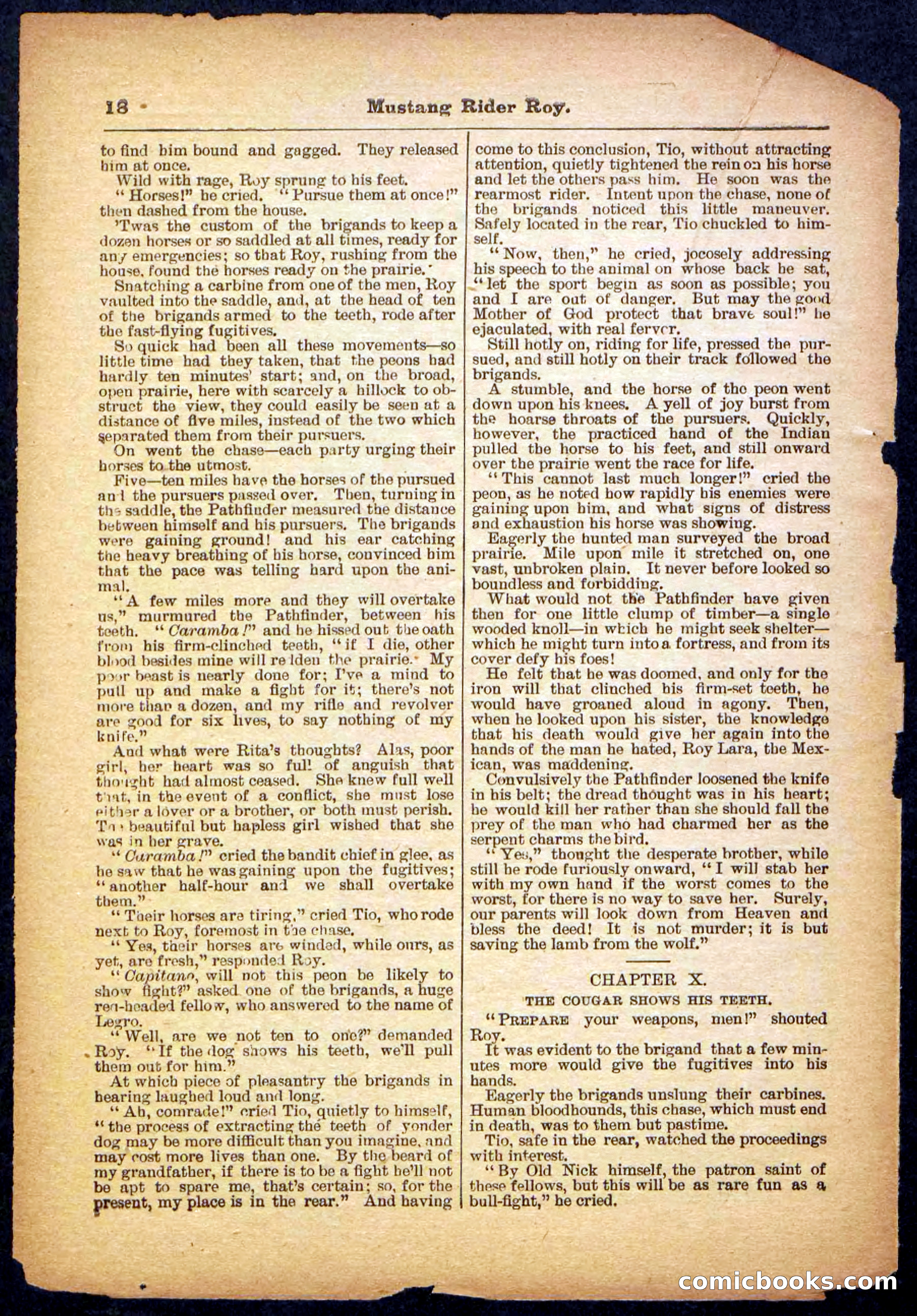 Beadle's Pocket Library No. 481: Mustang Rider Roy — page 18 of 32