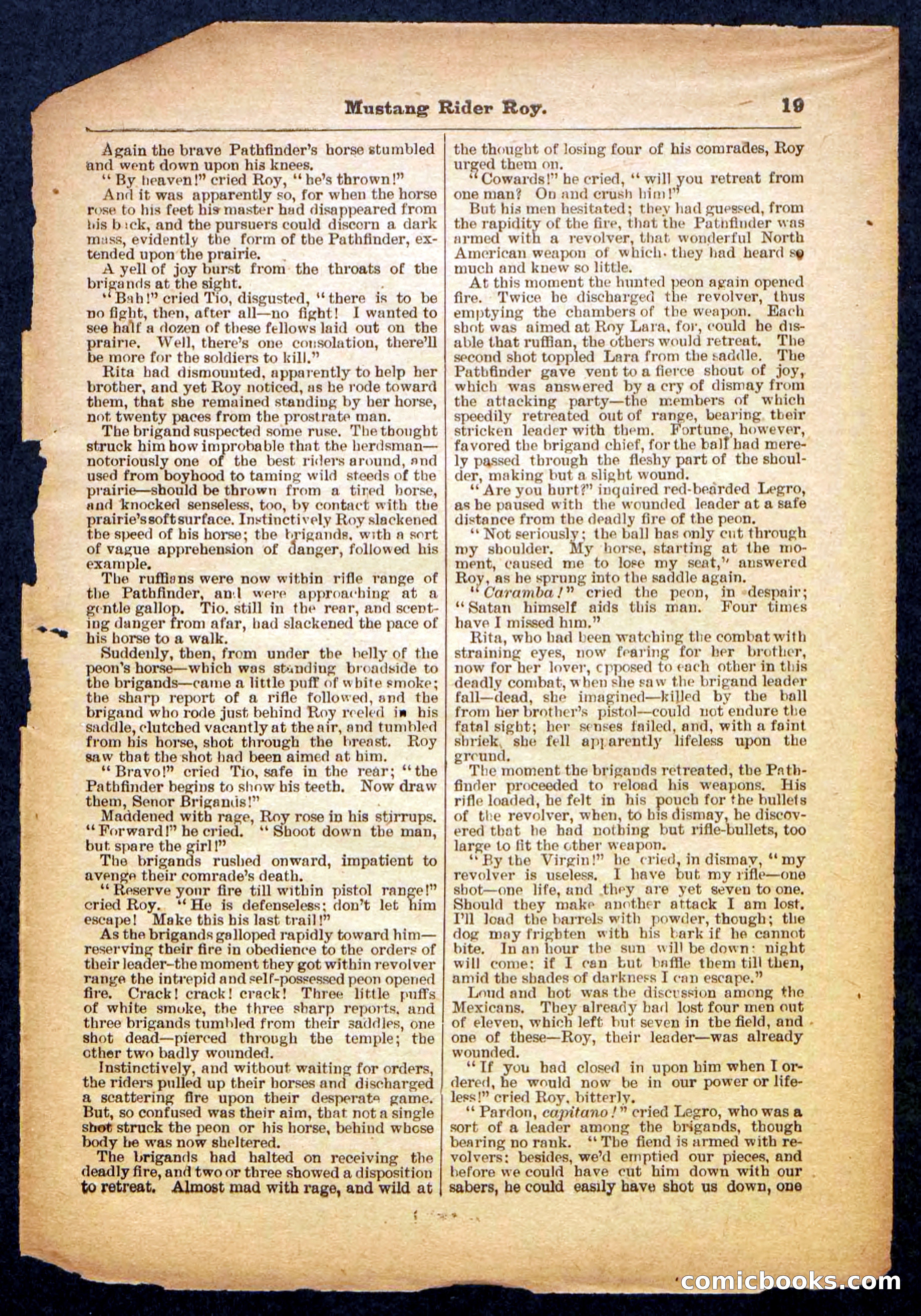 Beadle's Pocket Library No. 481: Mustang Rider Roy — page 19 of 32