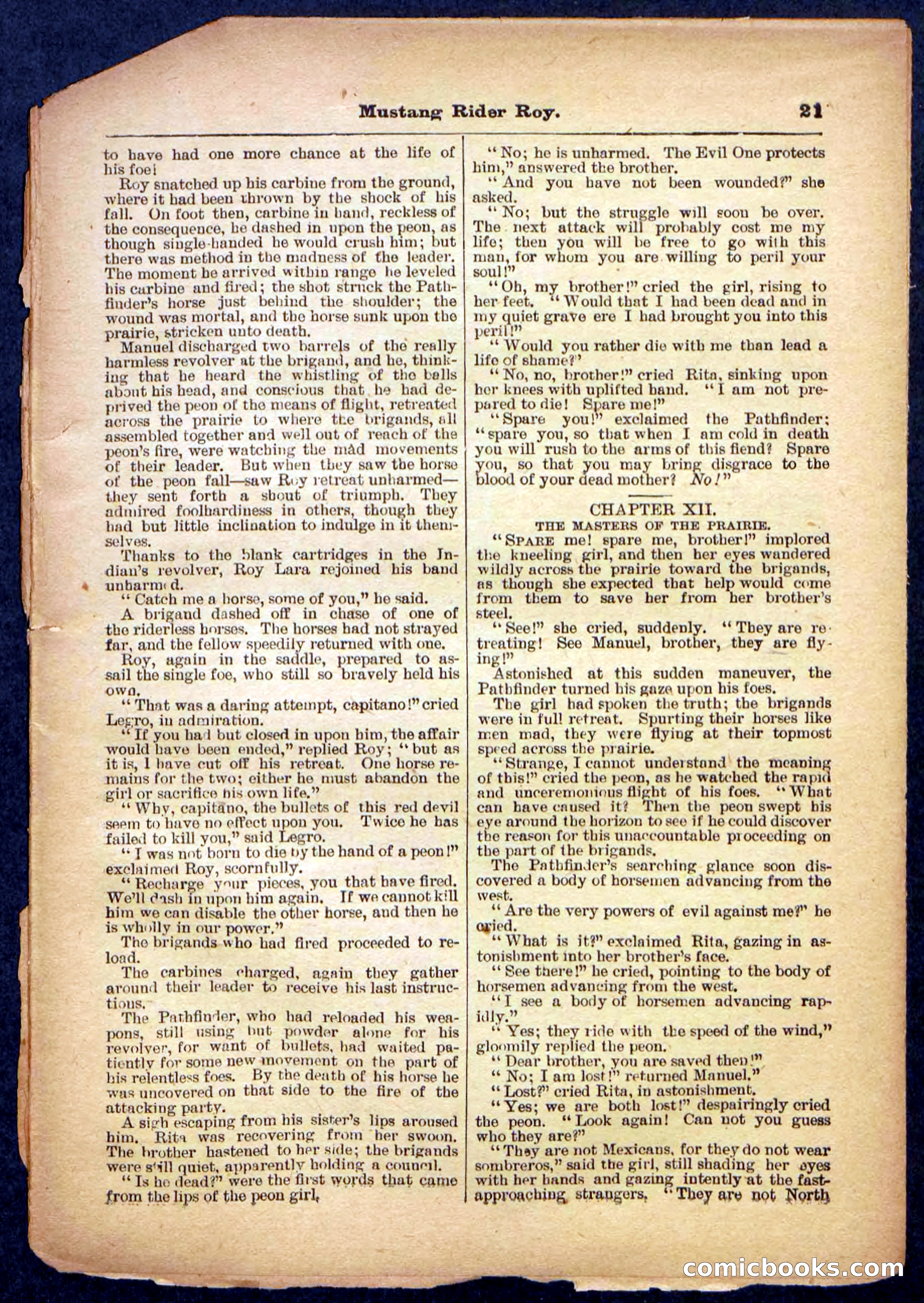 Beadle's Pocket Library No. 481: Mustang Rider Roy — page 21 of 32