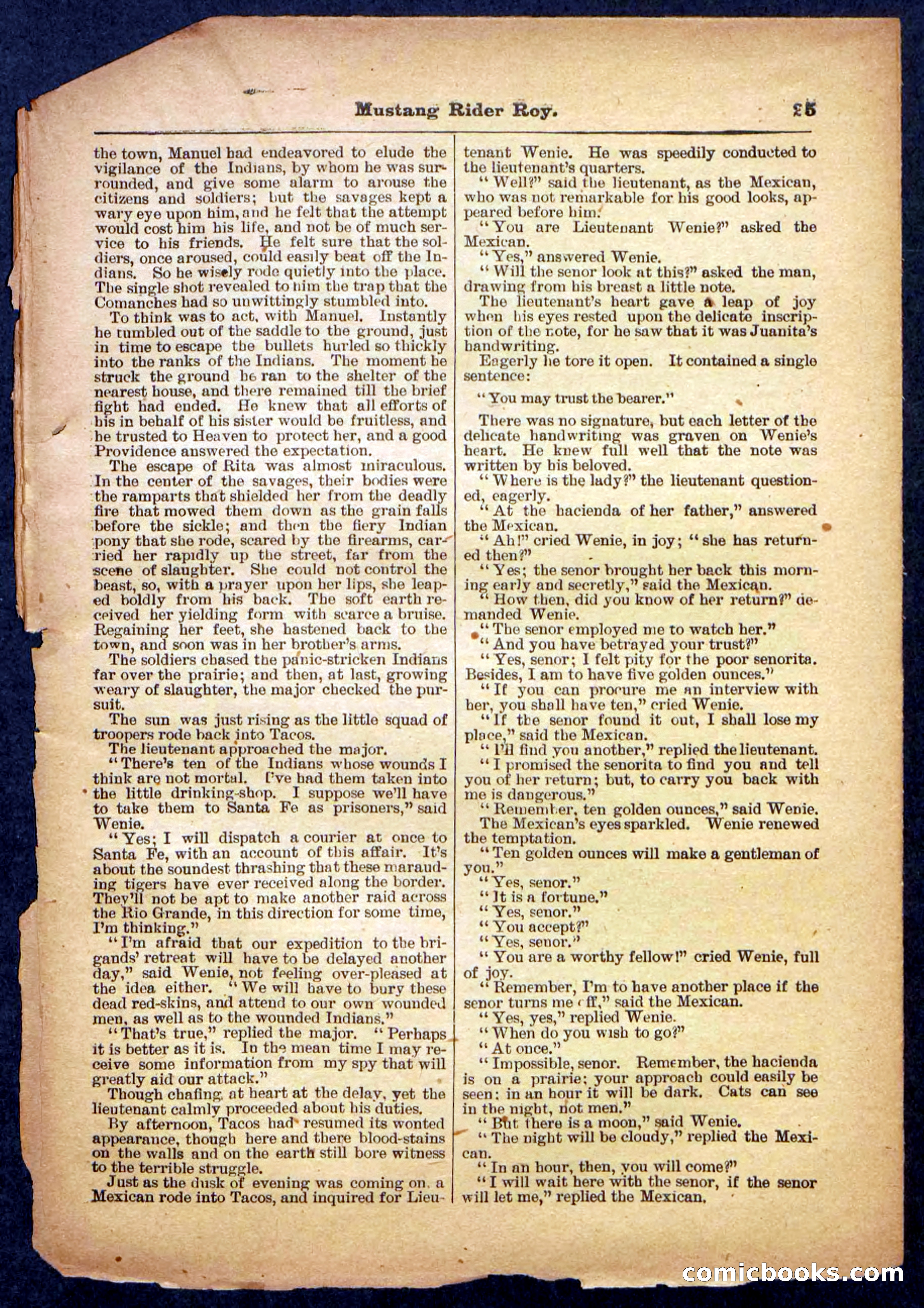 Beadle's Pocket Library No. 481: Mustang Rider Roy — page 25 of 32