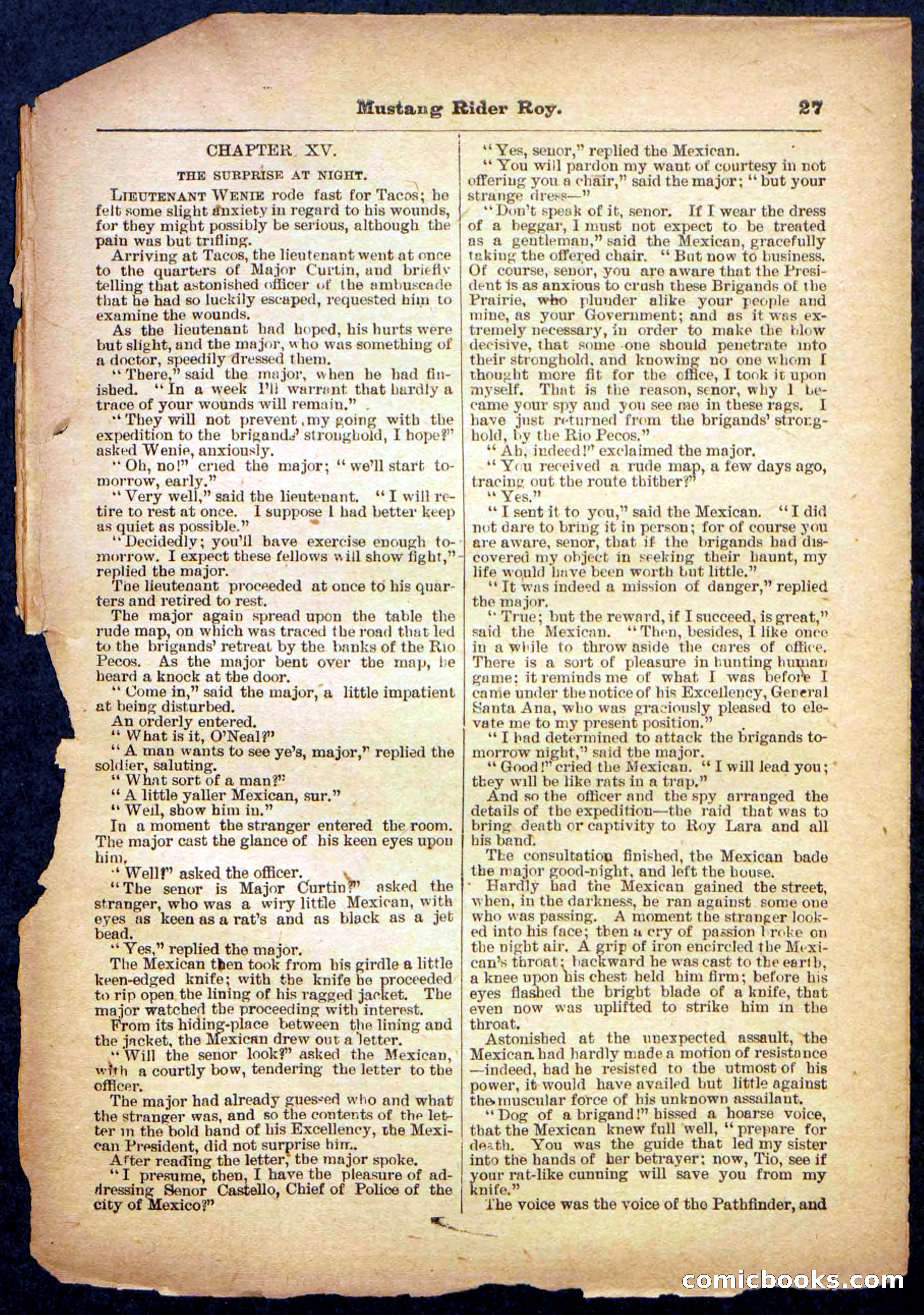 Beadle's Pocket Library No. 481: Mustang Rider Roy — page 27 of 32