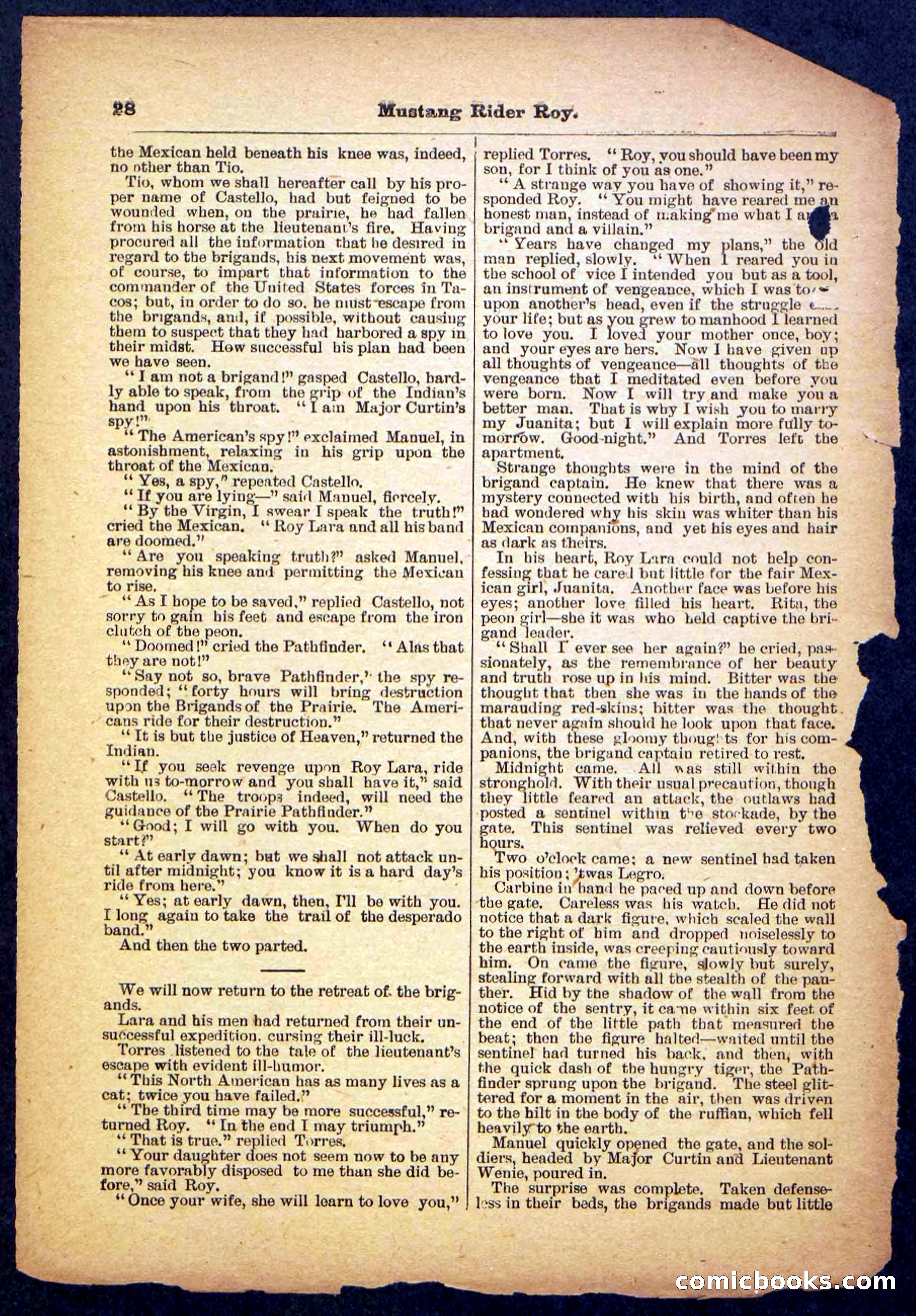 Beadle's Pocket Library No. 481: Mustang Rider Roy — page 28 of 32