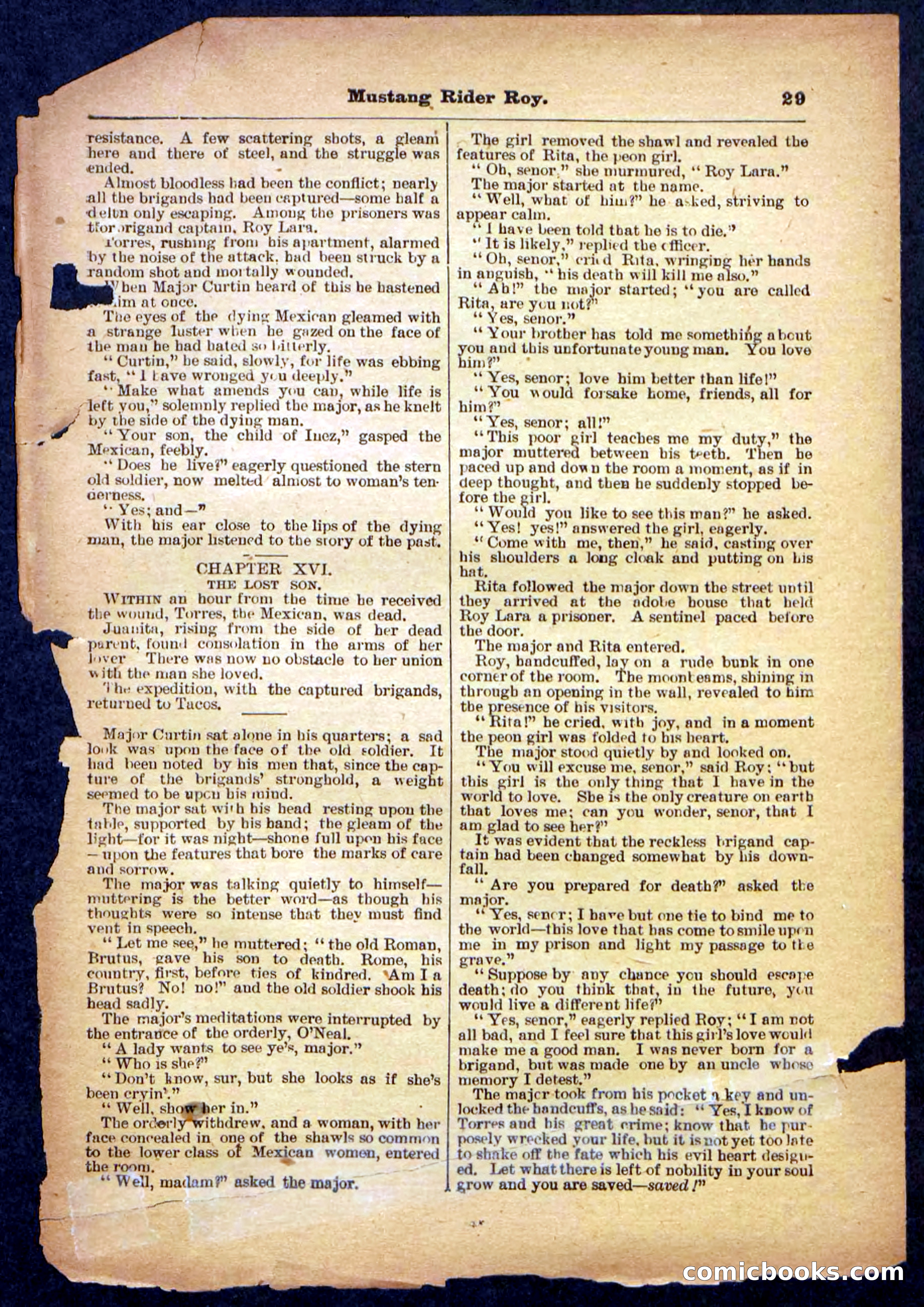 Beadle's Pocket Library No. 481: Mustang Rider Roy — page 29 of 32