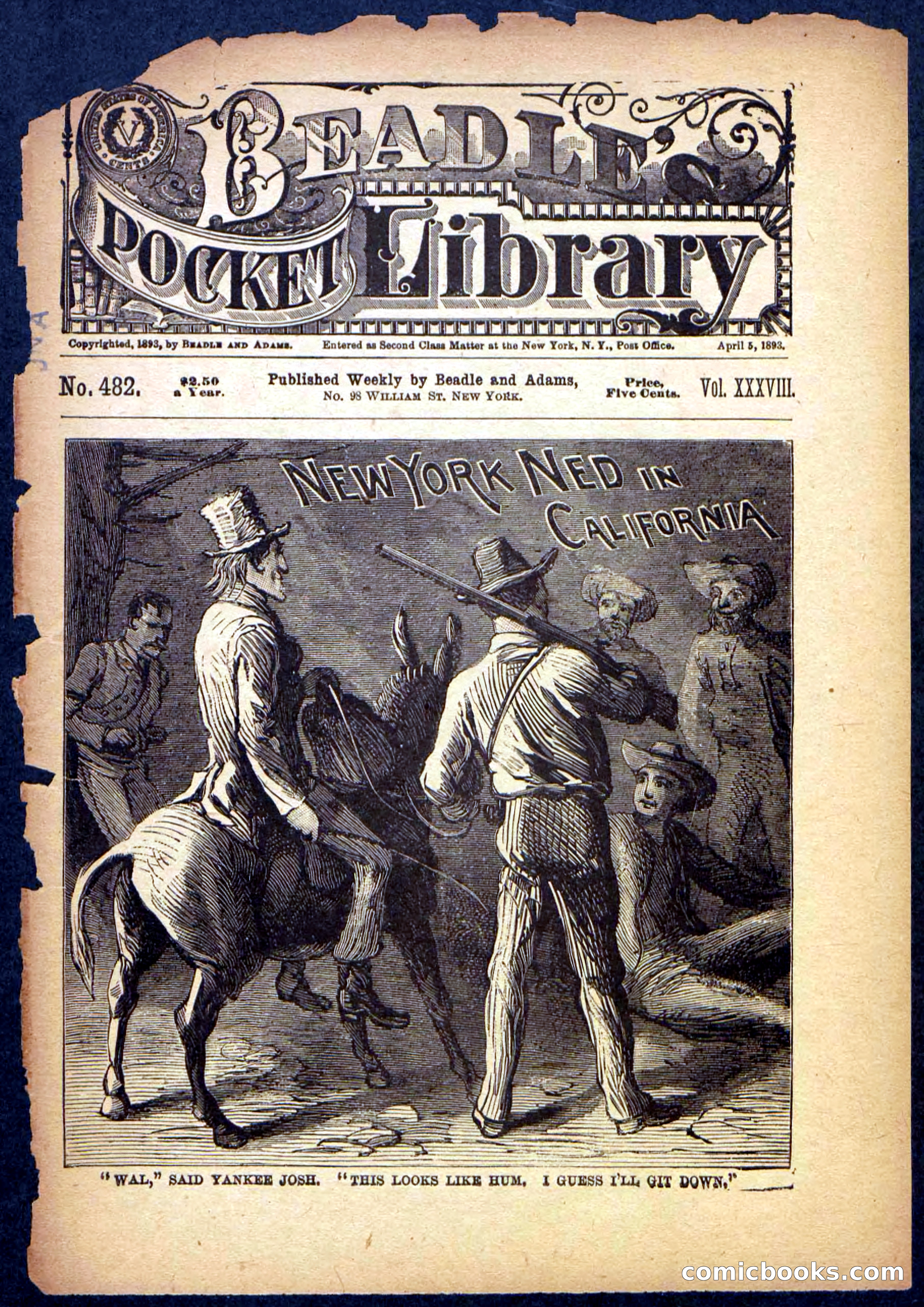 Beadle's Pocket Library No. 482