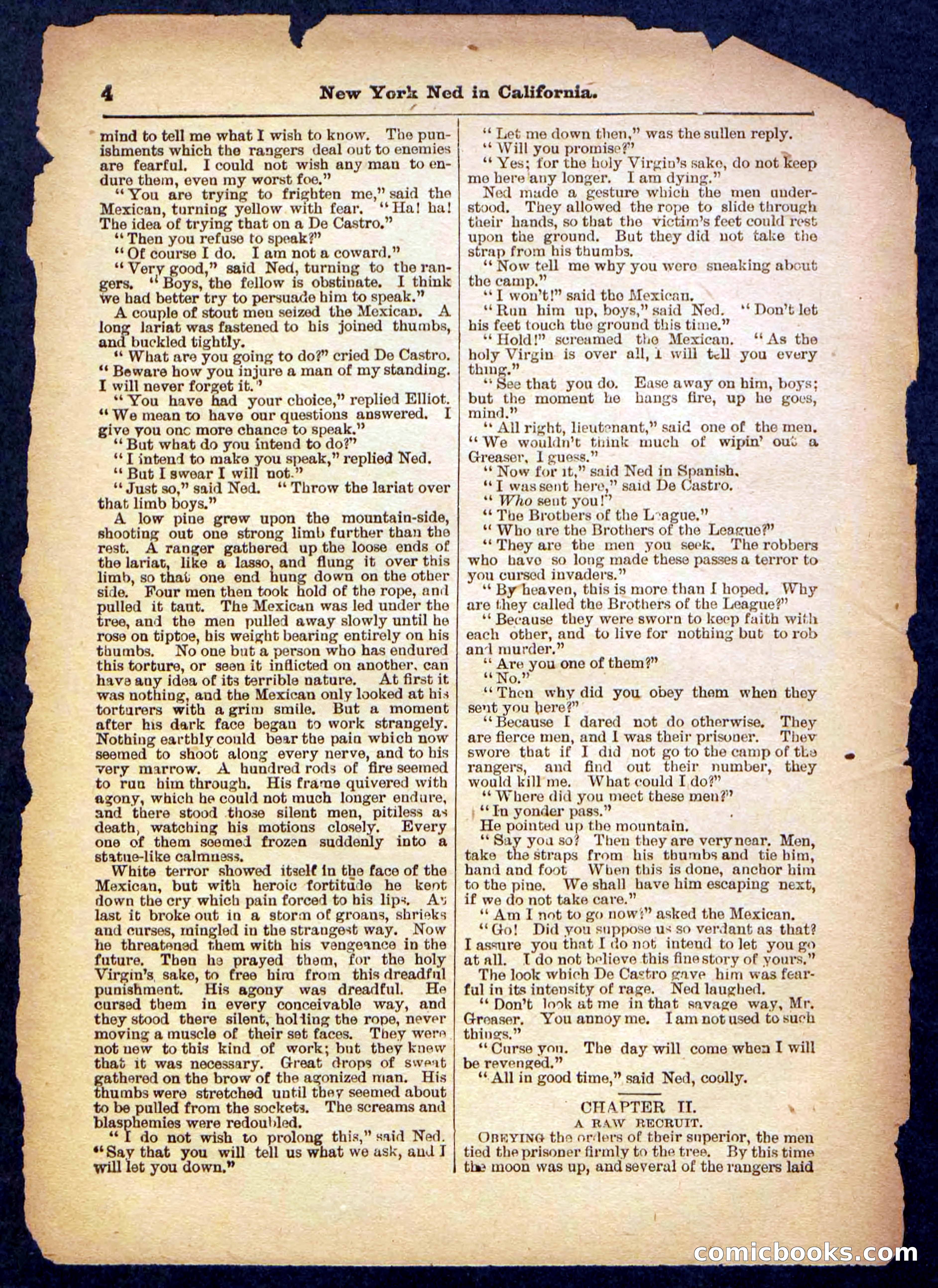 Beadle's Pocket Library No. 482 — page 4 of 32
