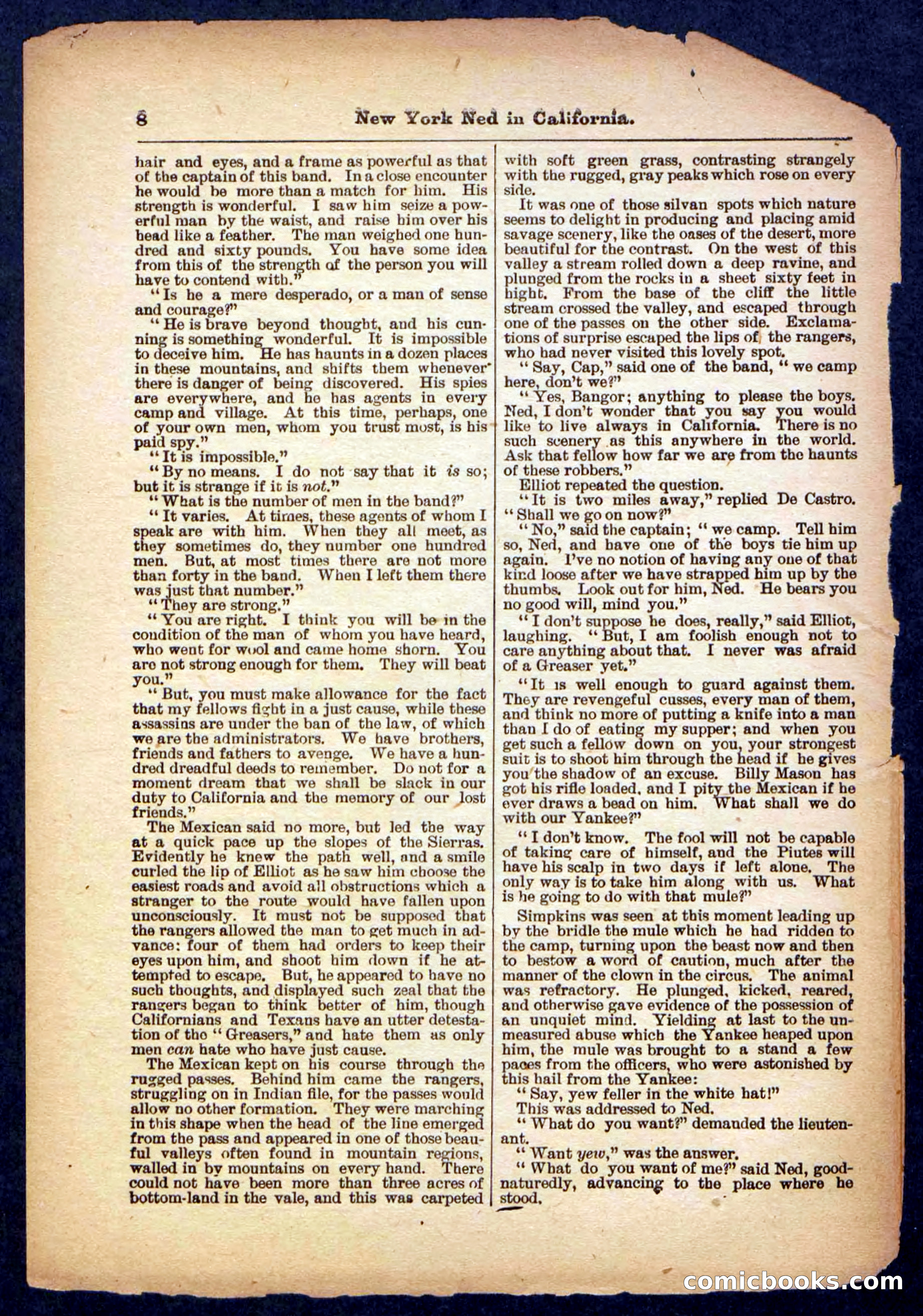 Beadle's Pocket Library No. 482 — page 8 of 32