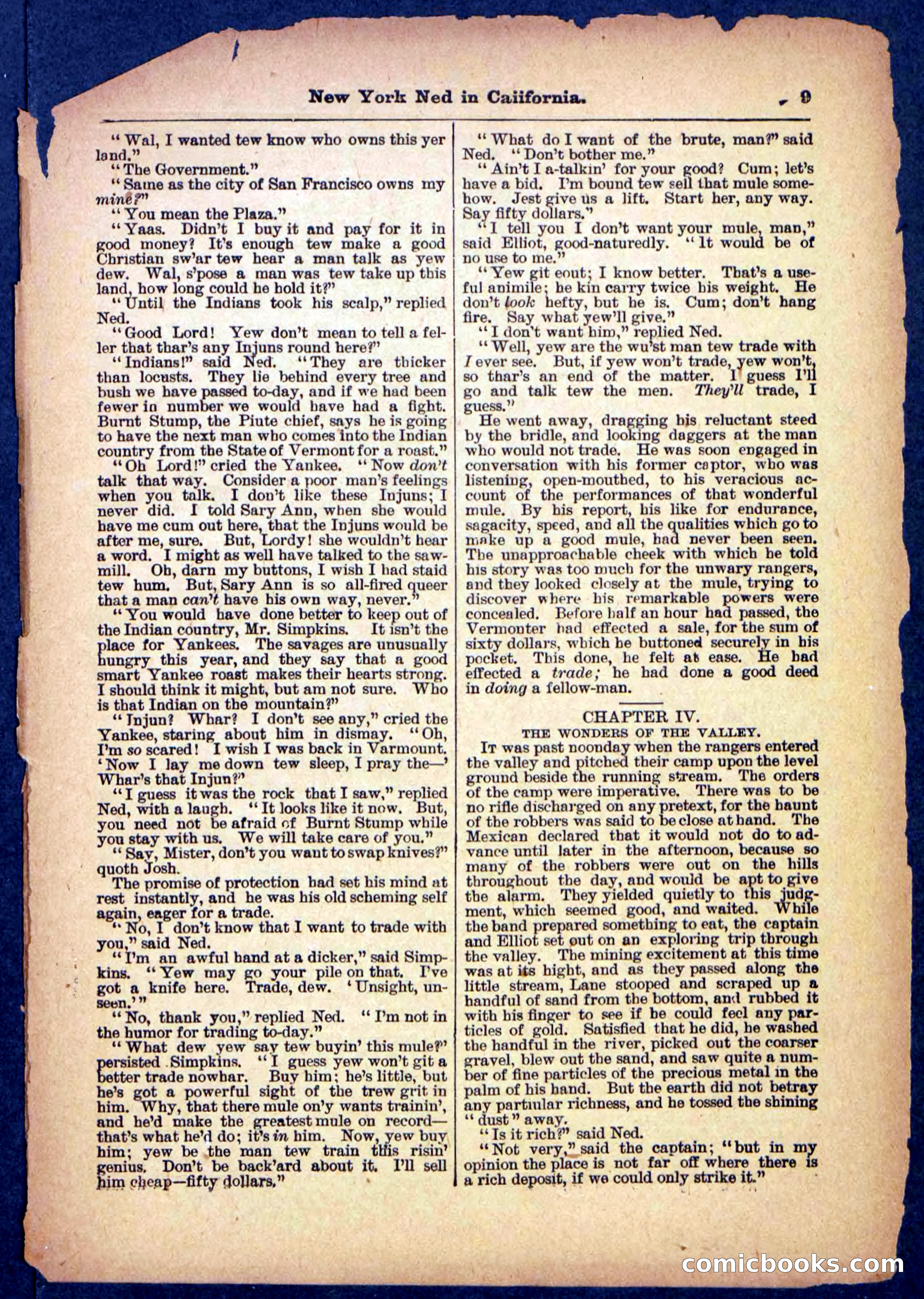 Beadle's Pocket Library No. 482 — page 9 of 32