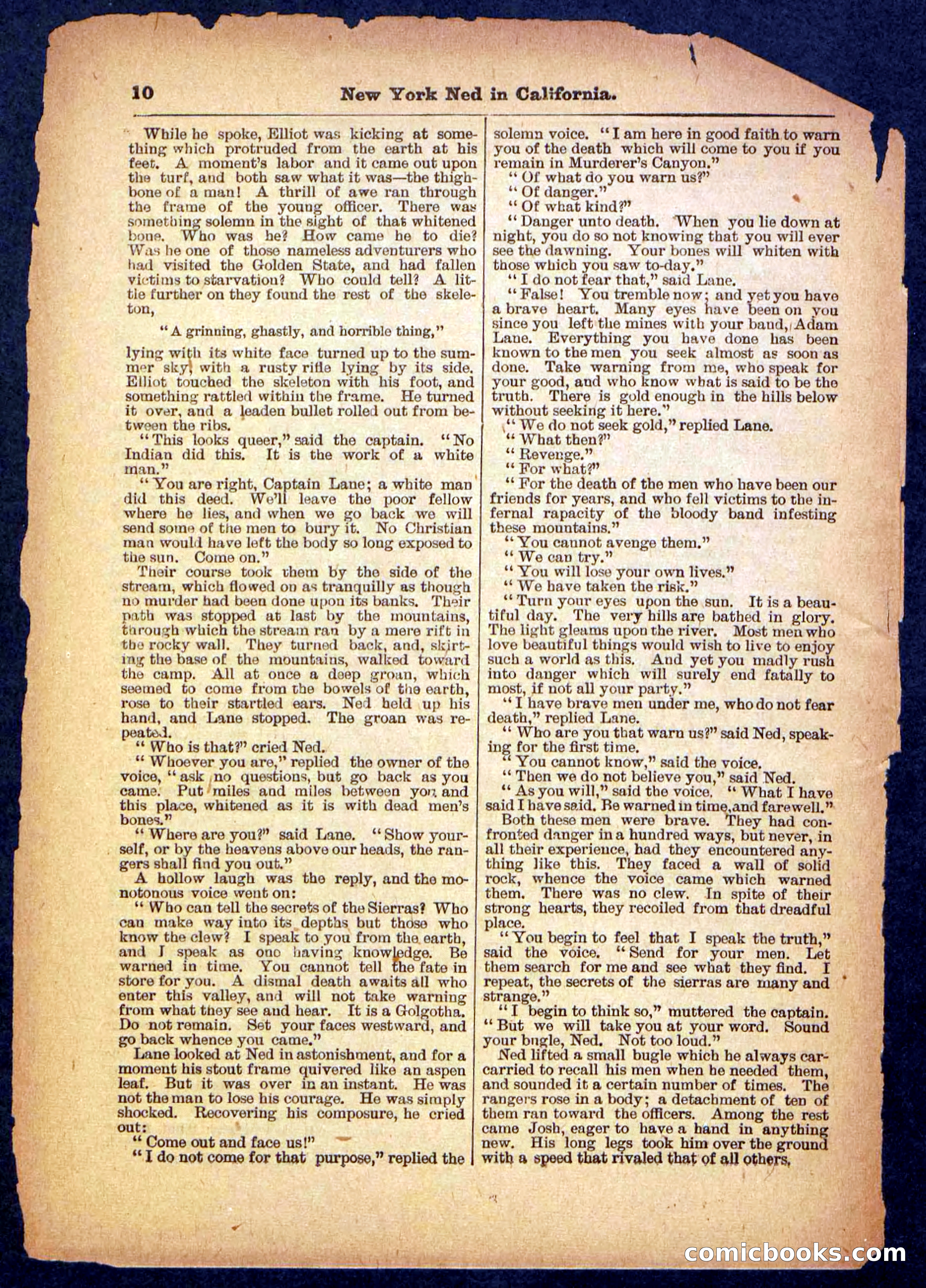 Beadle's Pocket Library No. 482 — page 10 of 32