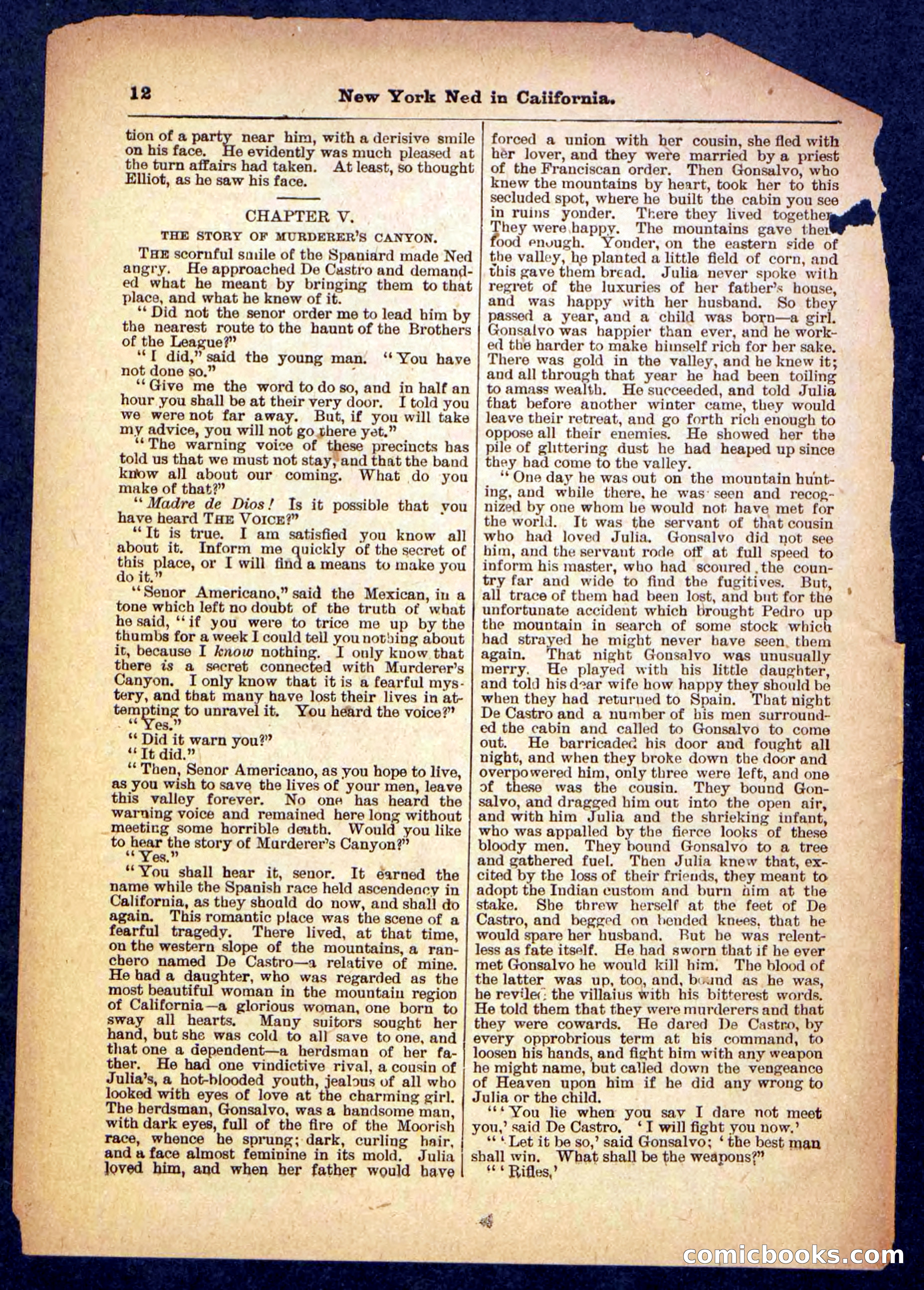 Beadle's Pocket Library No. 482 — page 12 of 32