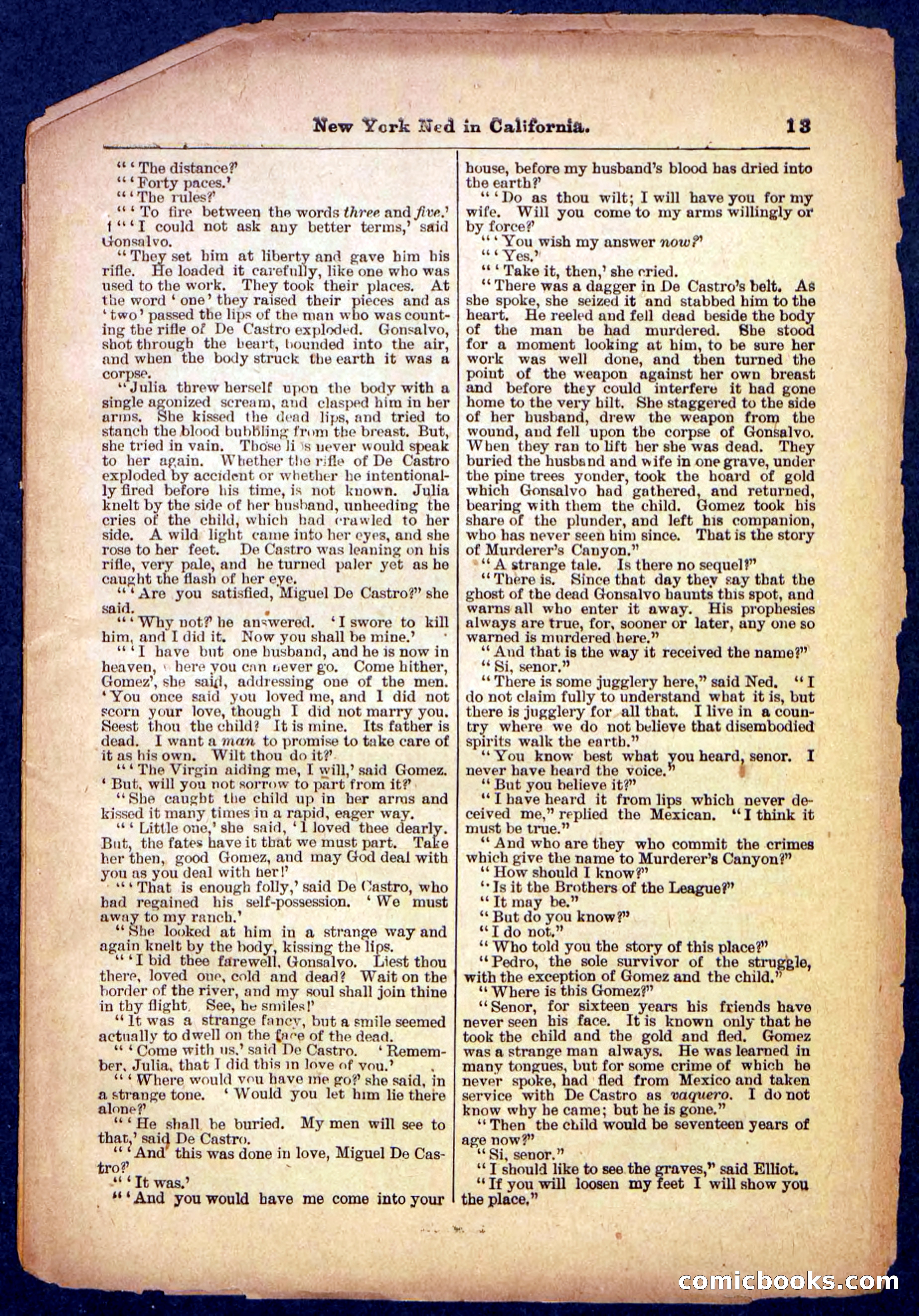 Beadle's Pocket Library No. 482 — page 13 of 32