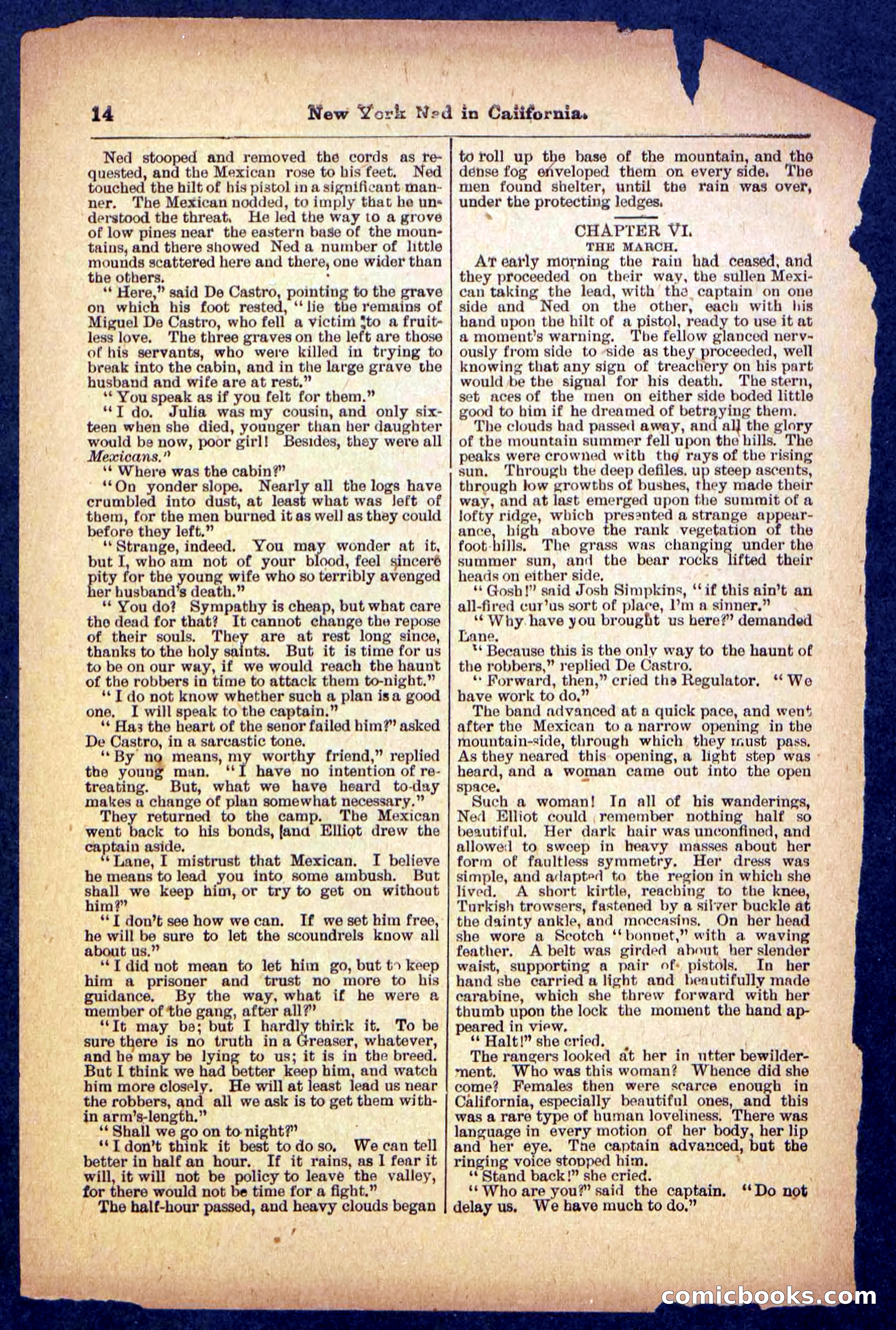 Beadle's Pocket Library No. 482 — page 14 of 32