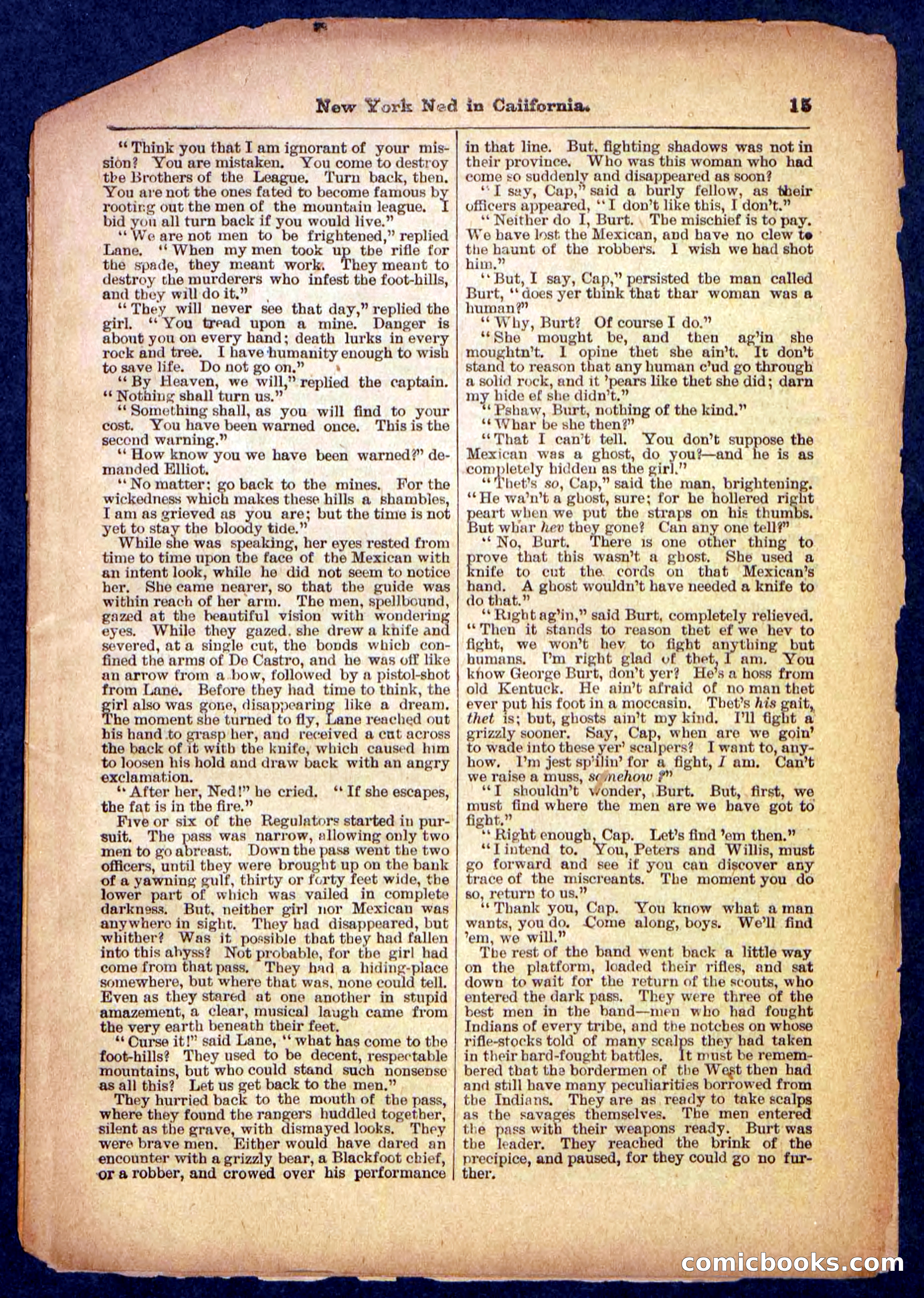 Beadle's Pocket Library No. 482 — page 15 of 32