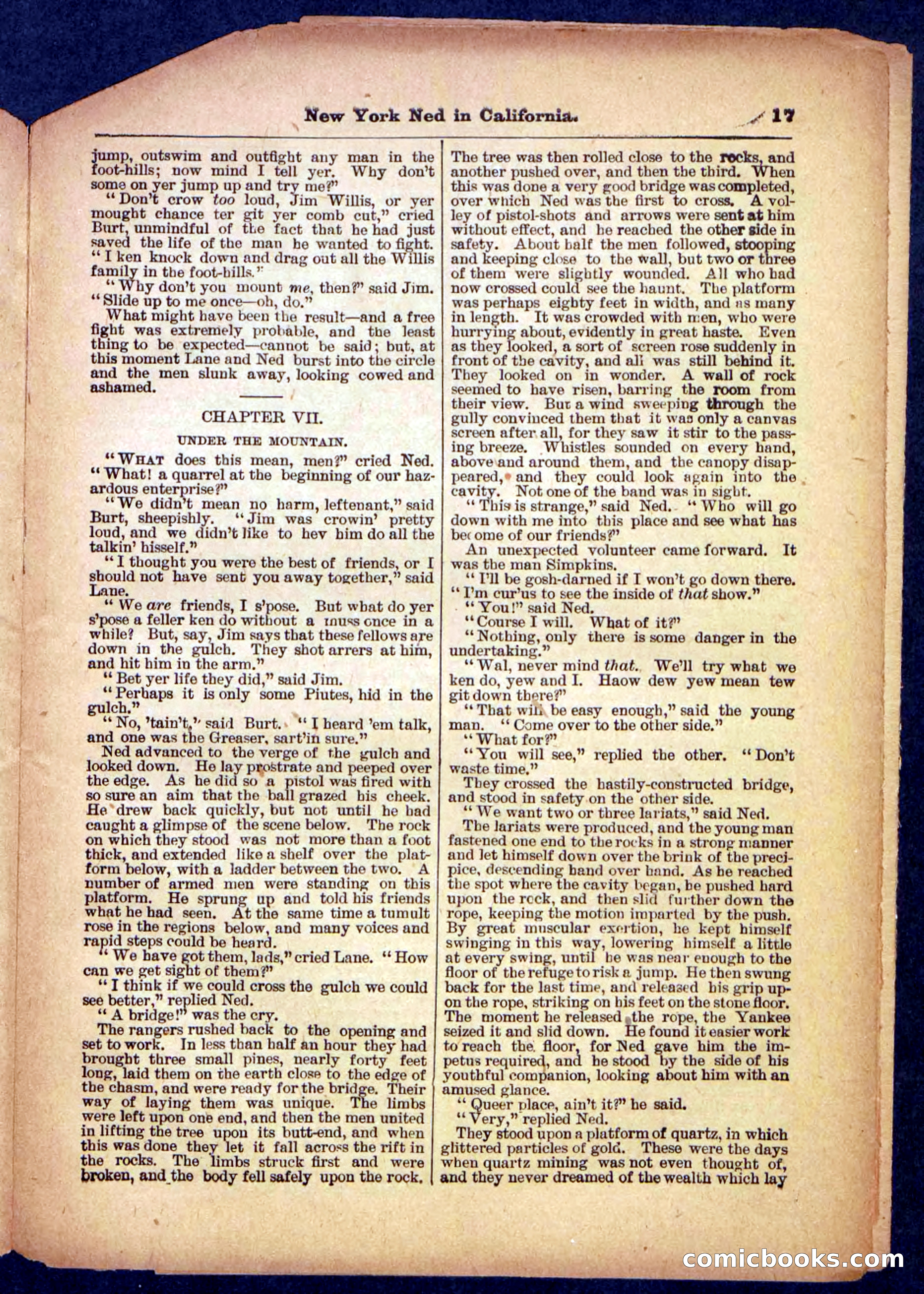 Beadle's Pocket Library No. 482 — page 17 of 32