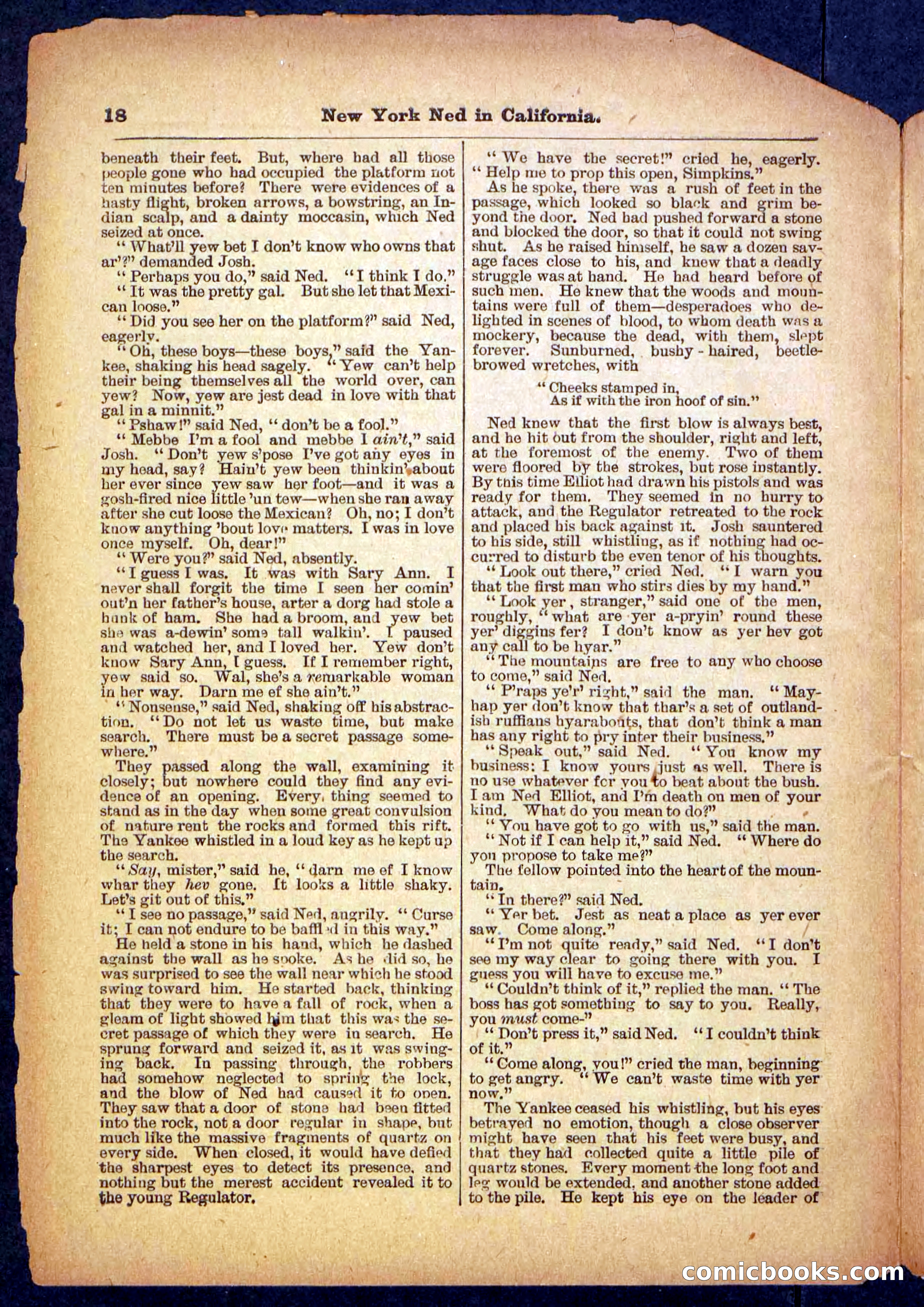 Beadle's Pocket Library No. 482 — page 18 of 32