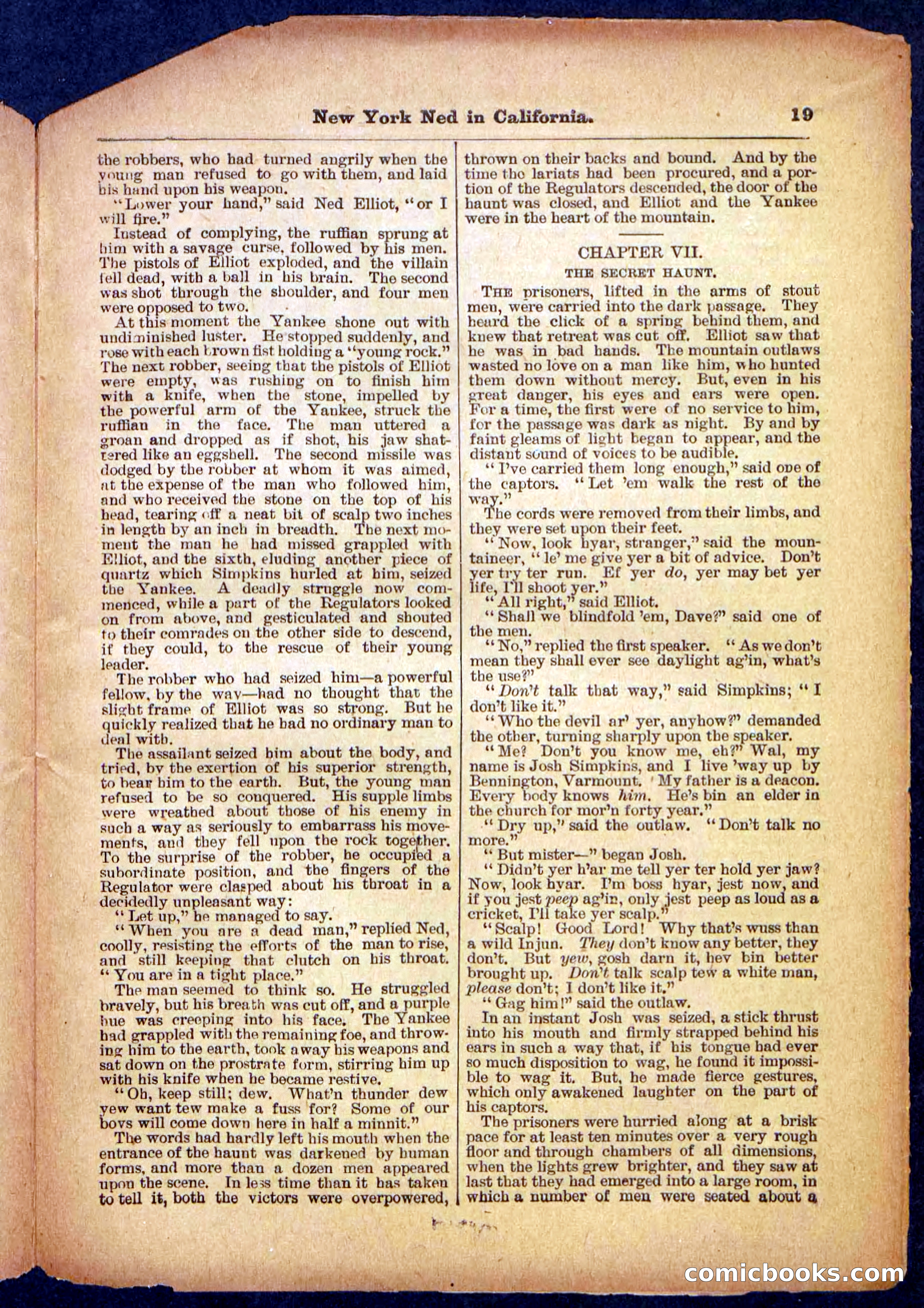 Beadle's Pocket Library No. 482 — page 19 of 32