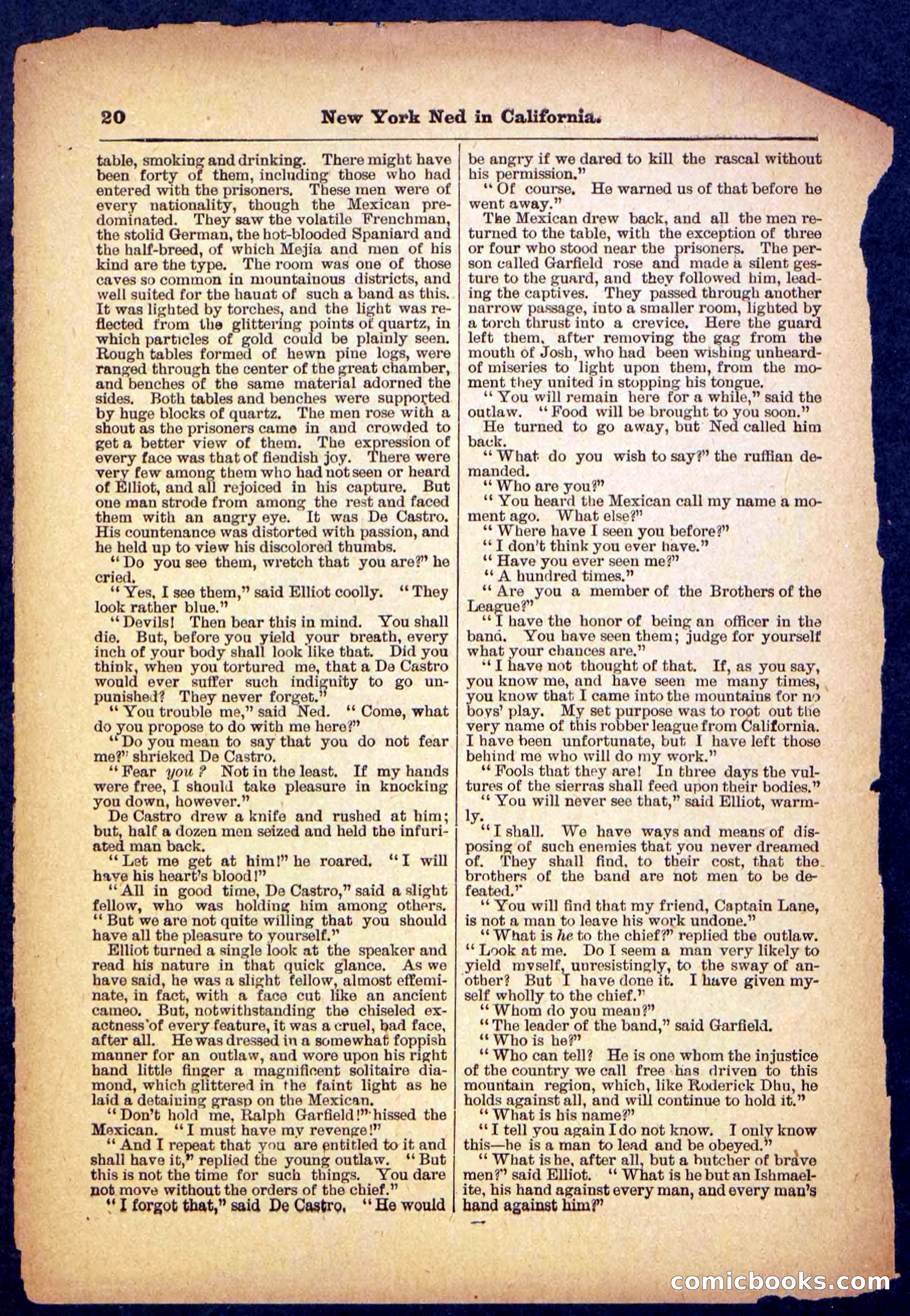 Beadle's Pocket Library No. 482 — page 20 of 32