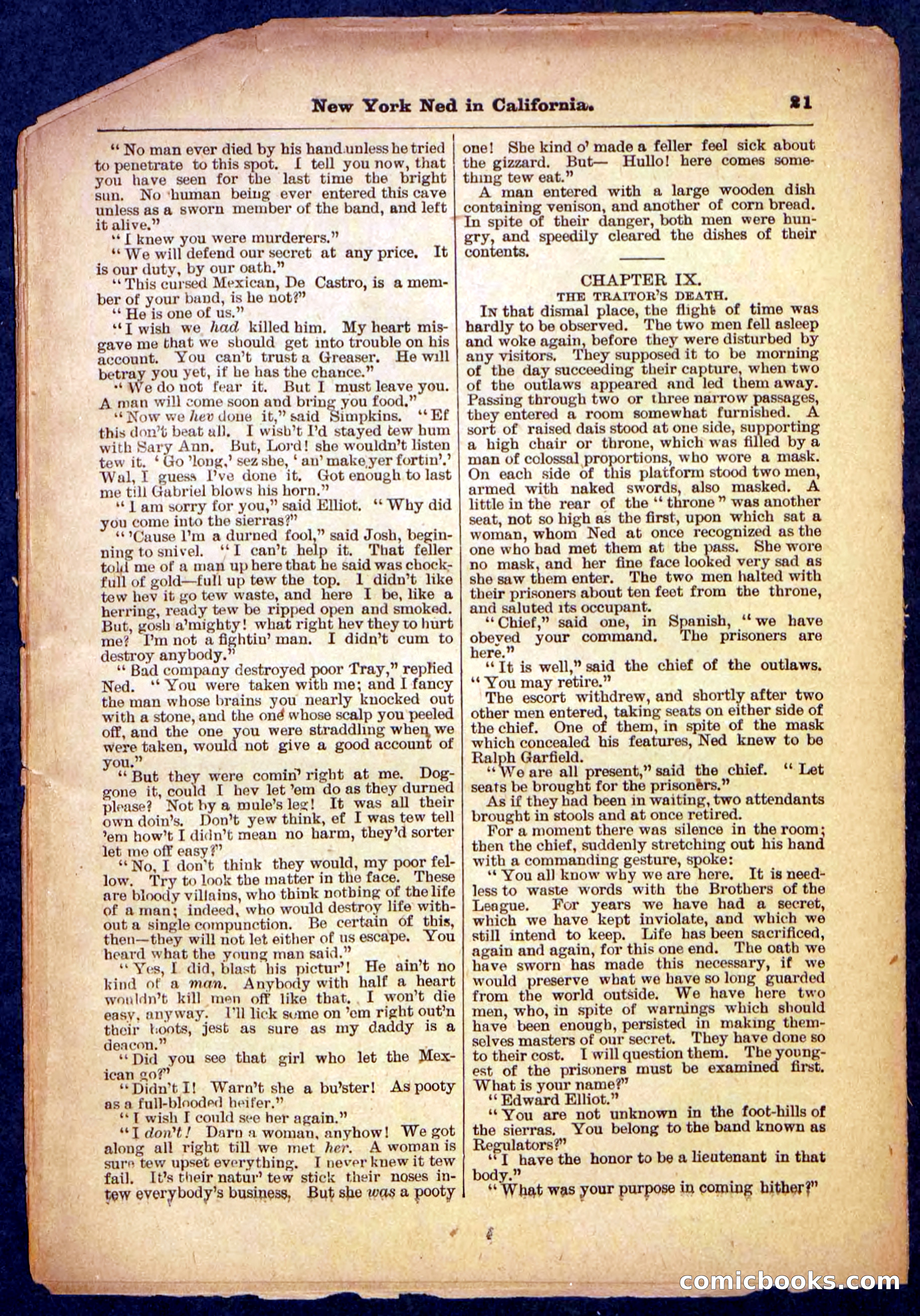 Beadle's Pocket Library No. 482 — page 21 of 32