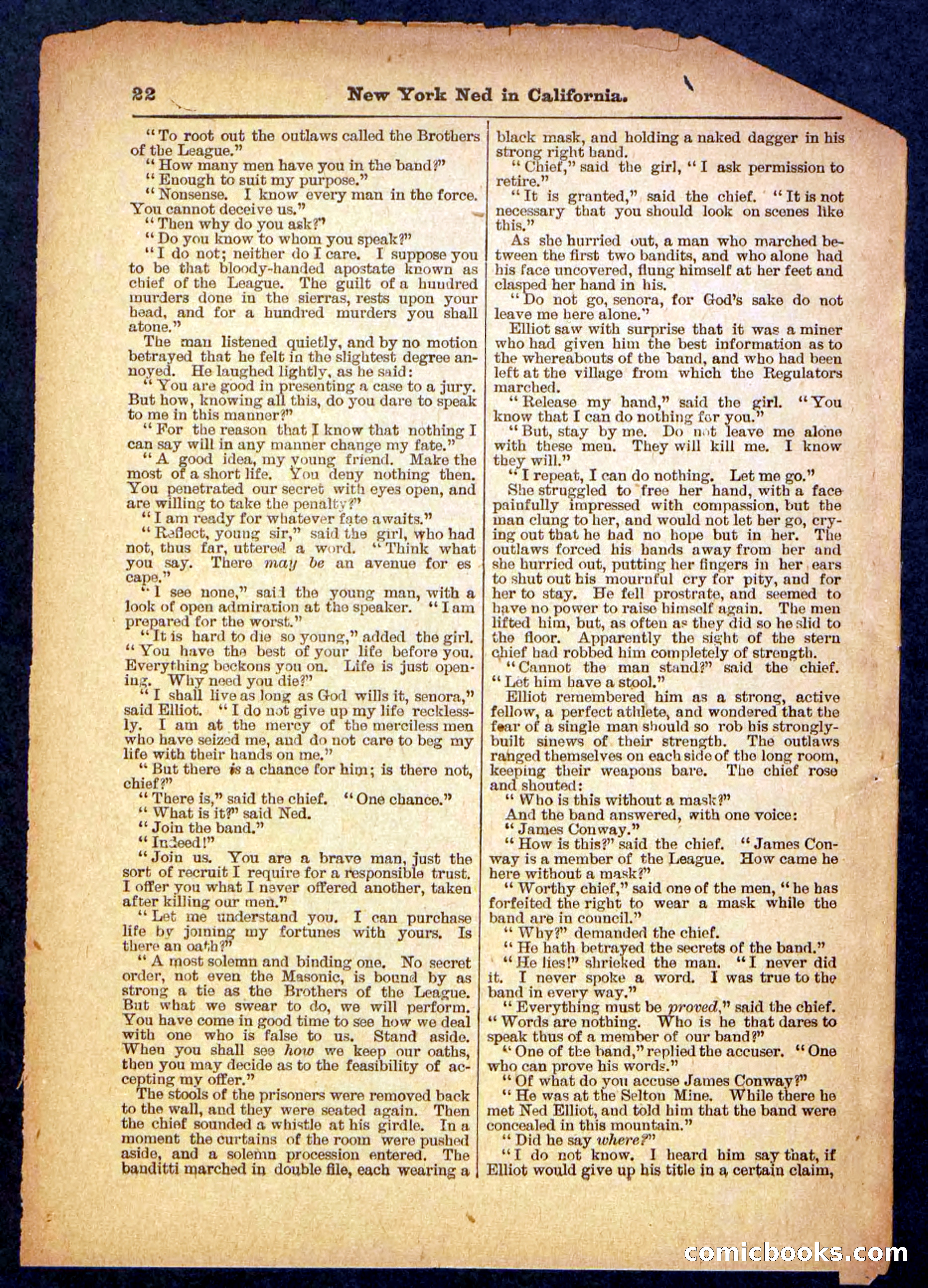 Beadle's Pocket Library No. 482 — page 22 of 32