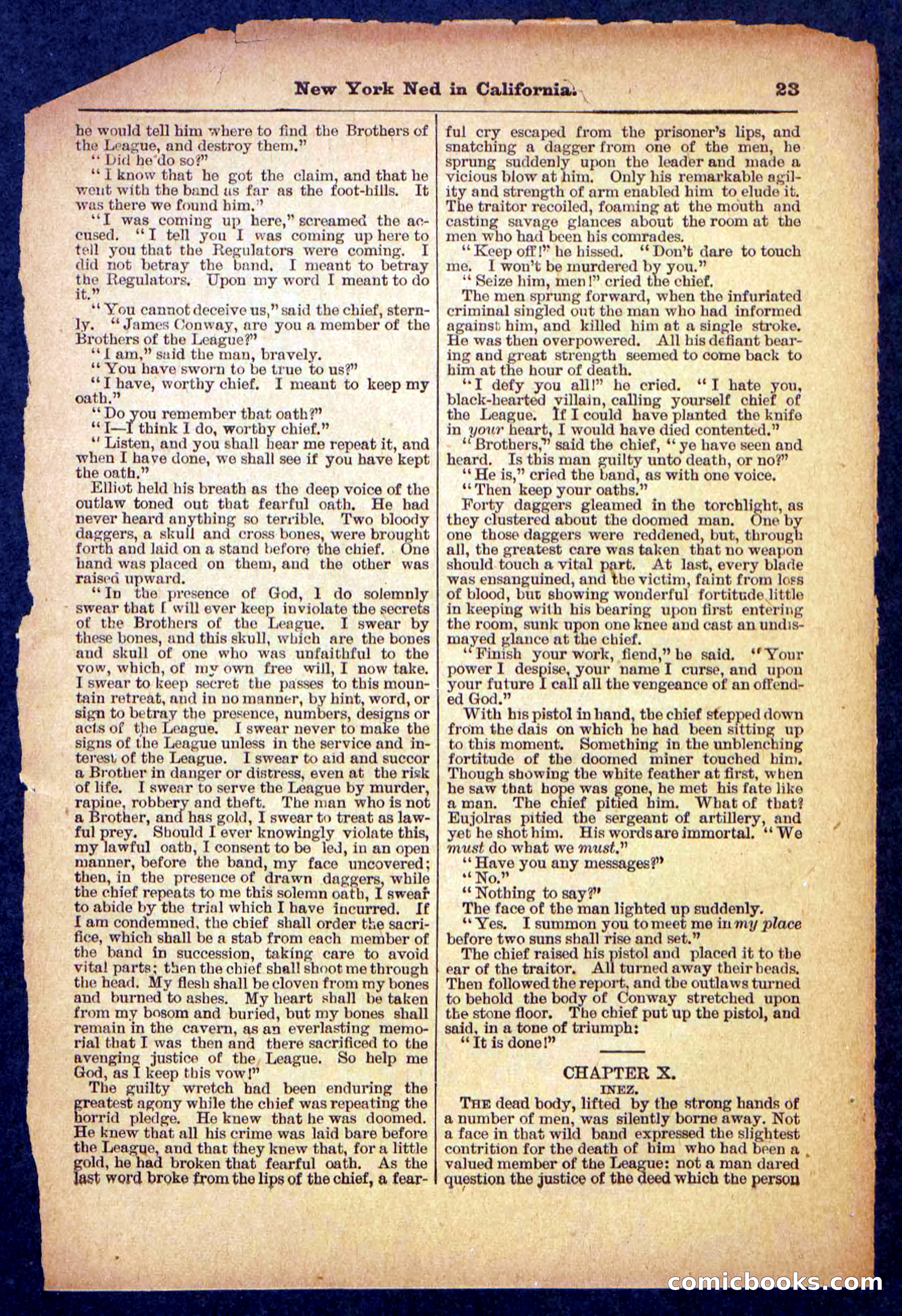Beadle's Pocket Library No. 482 — page 23 of 32