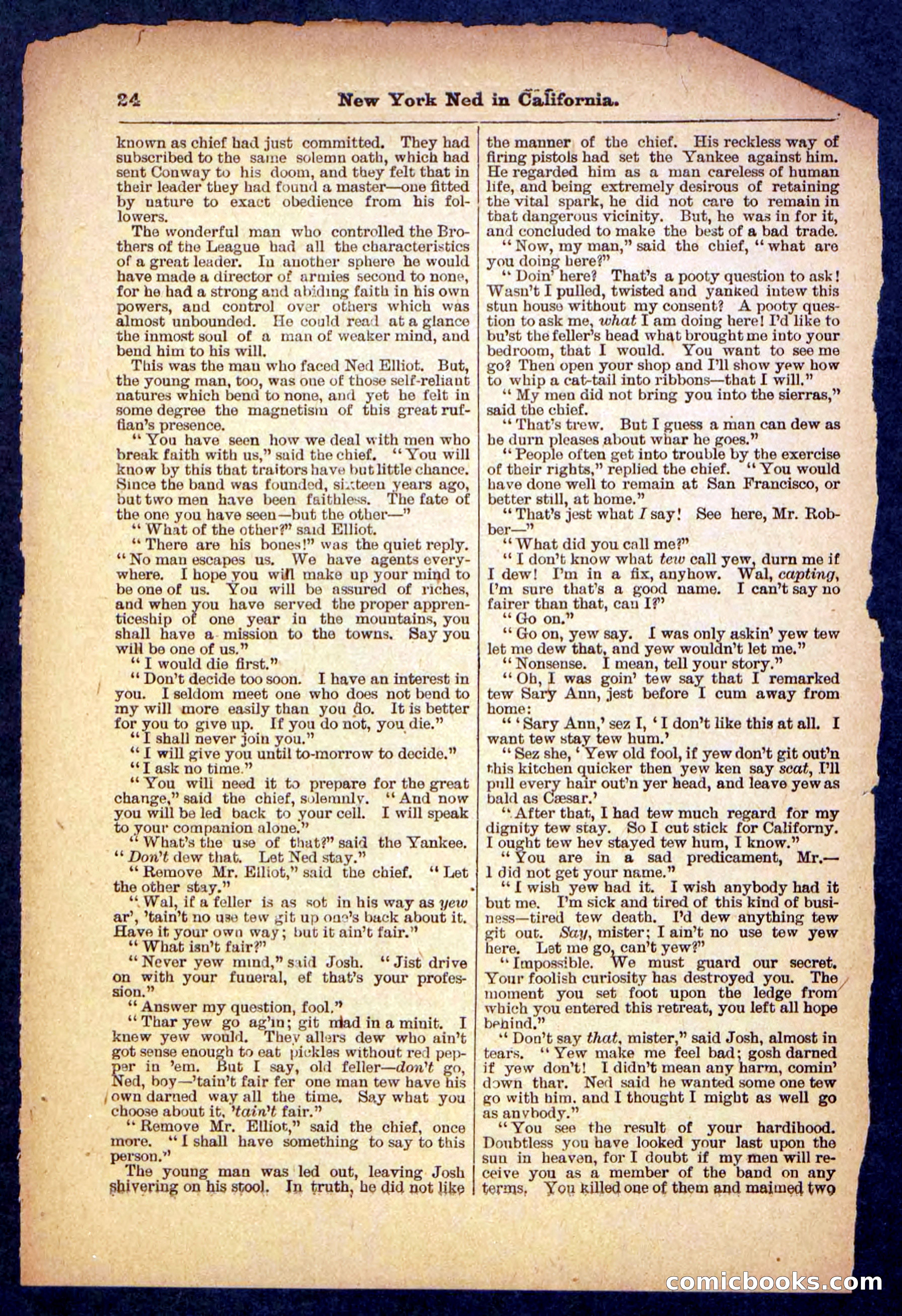 Beadle's Pocket Library No. 482 — page 24 of 32