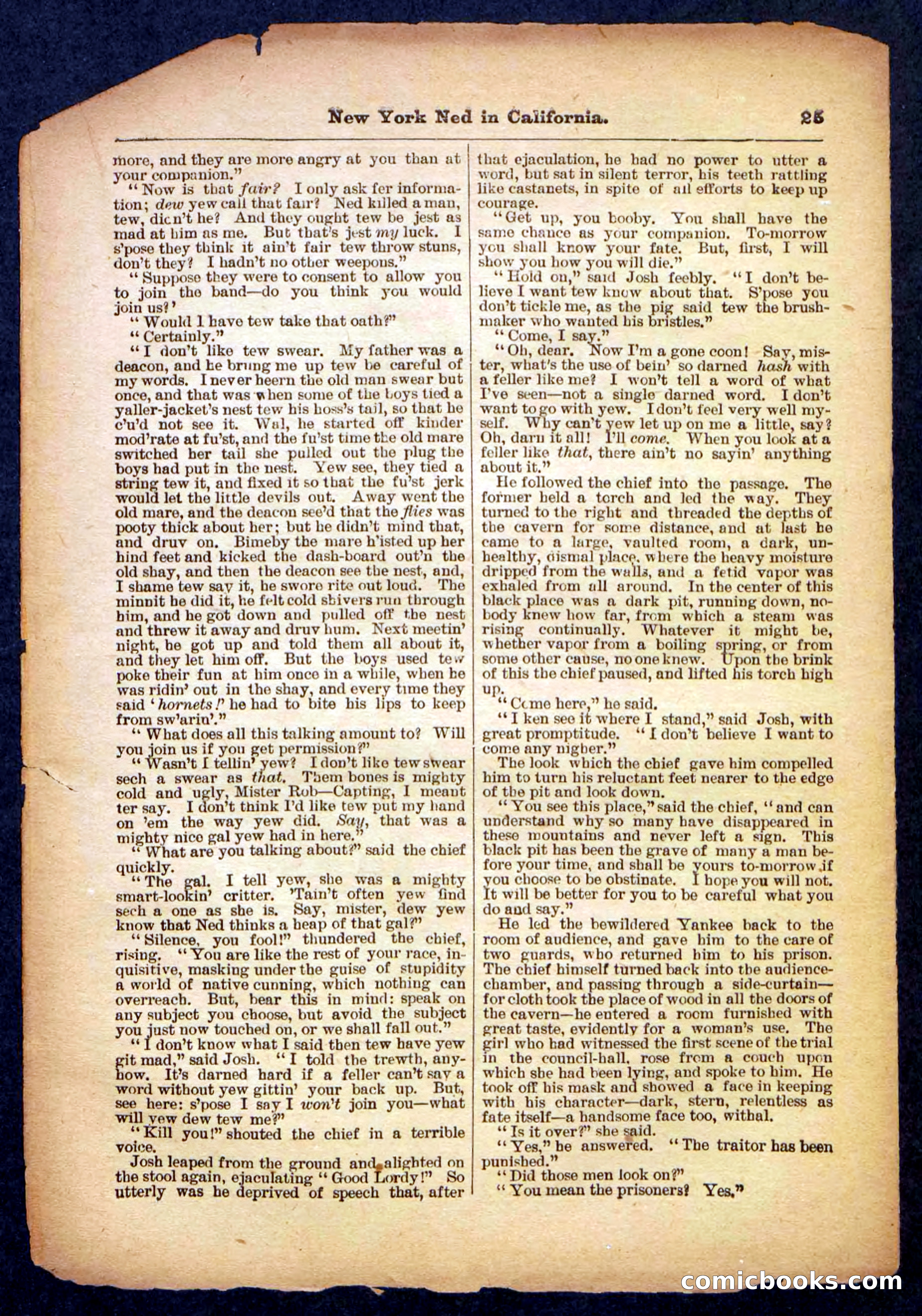 Beadle's Pocket Library No. 482 — page 25 of 32