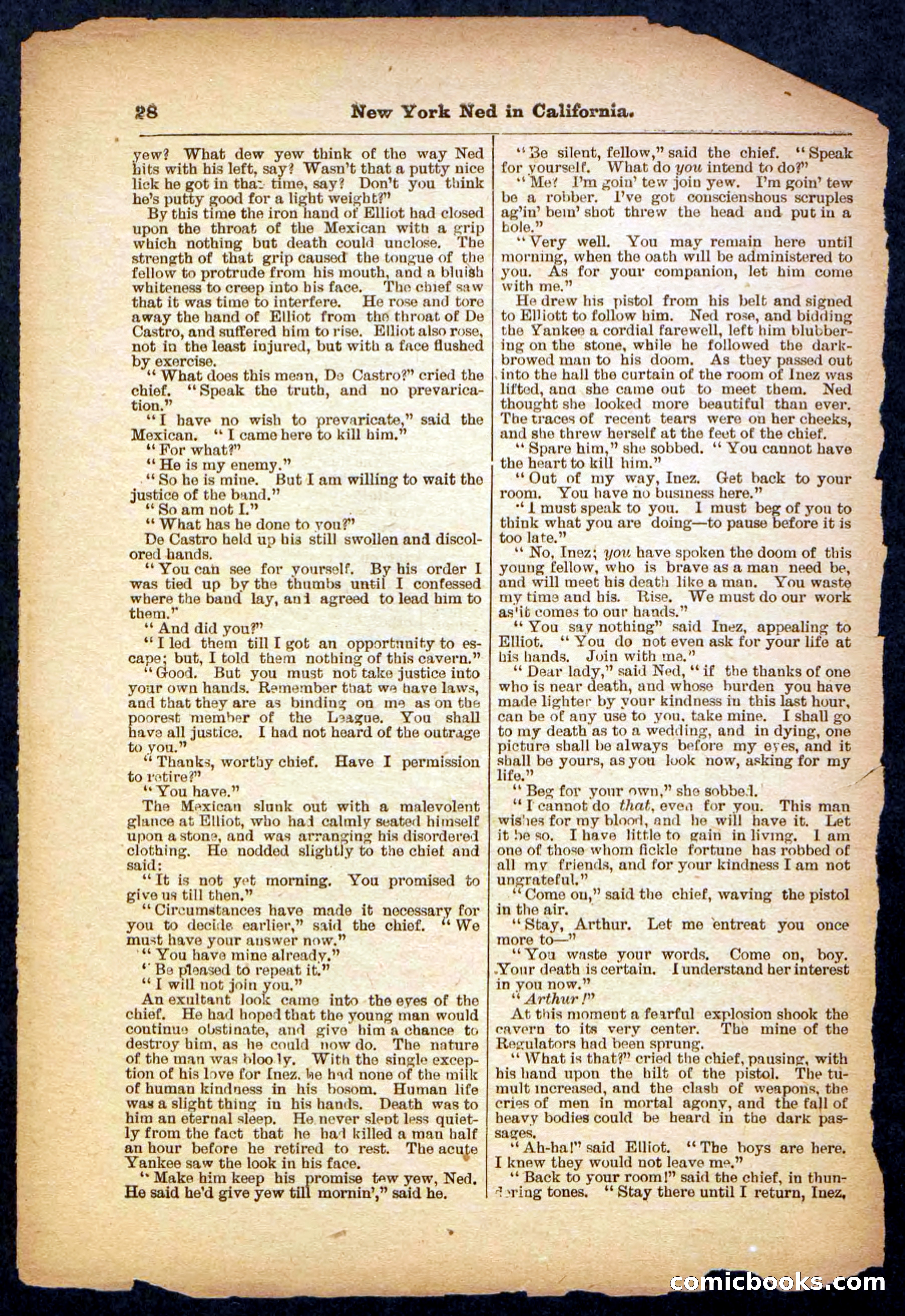 Beadle's Pocket Library No. 482 — page 28 of 32