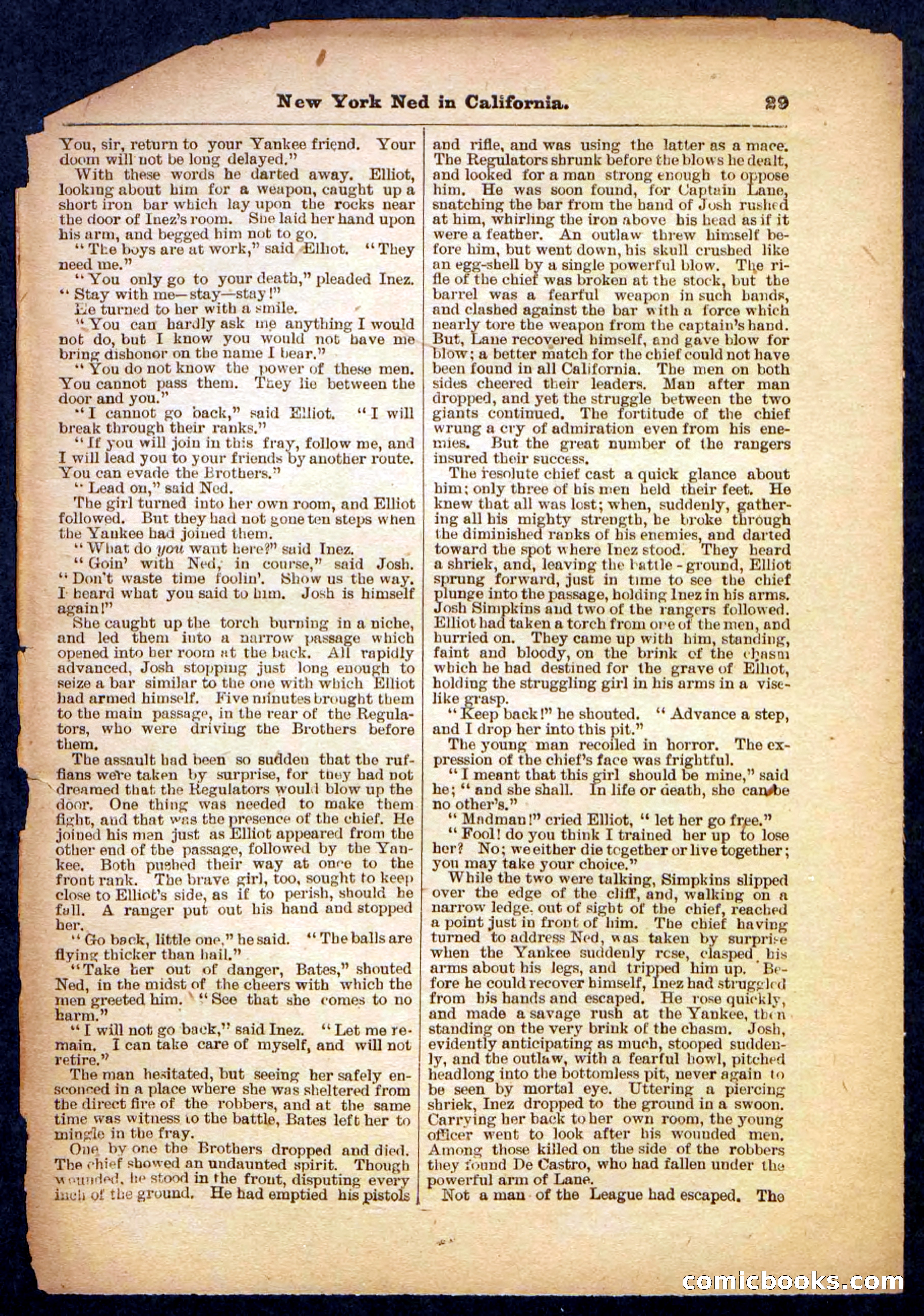 Beadle's Pocket Library No. 482 — page 29 of 32