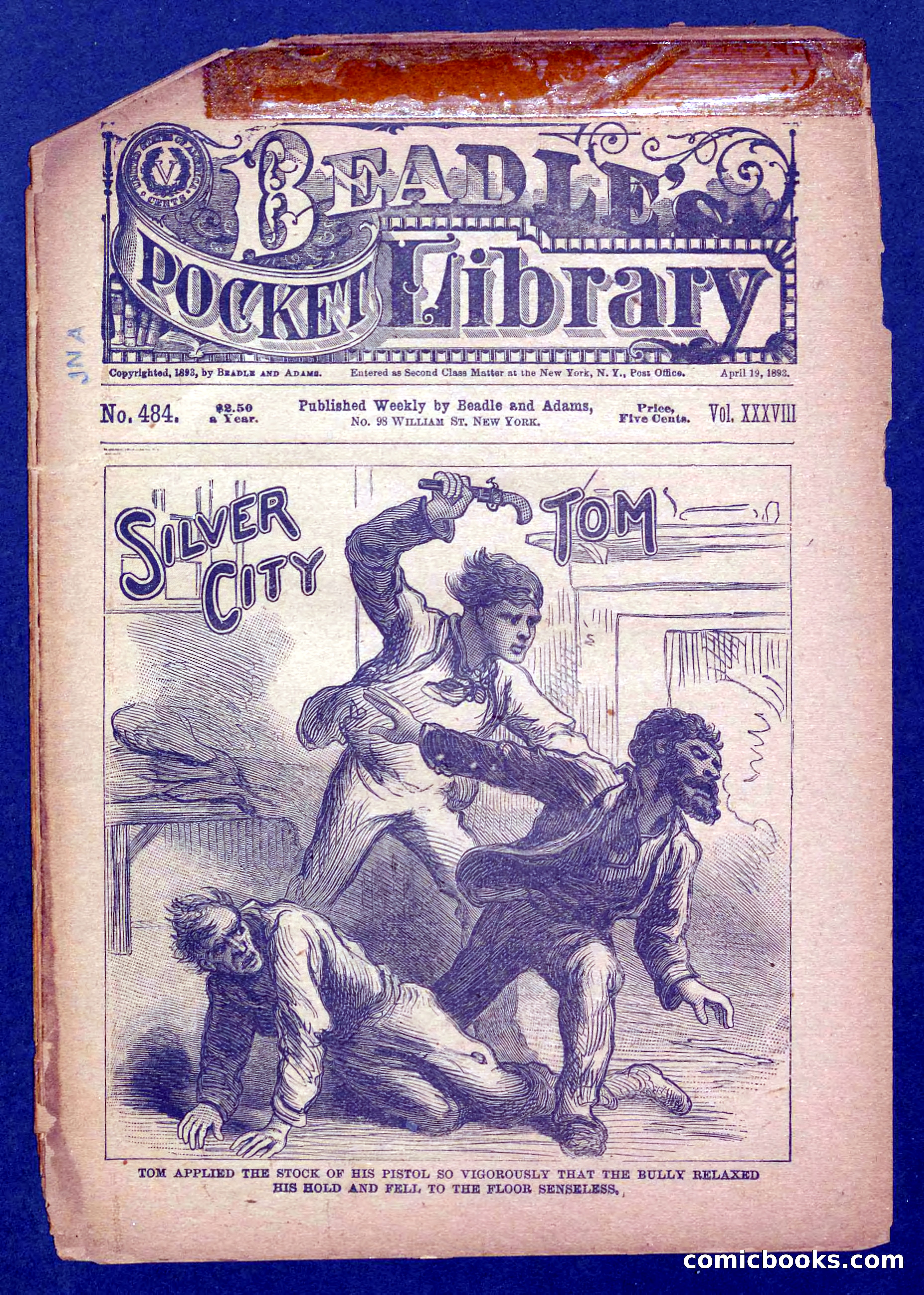 Beadle's Pocket Library No. 484