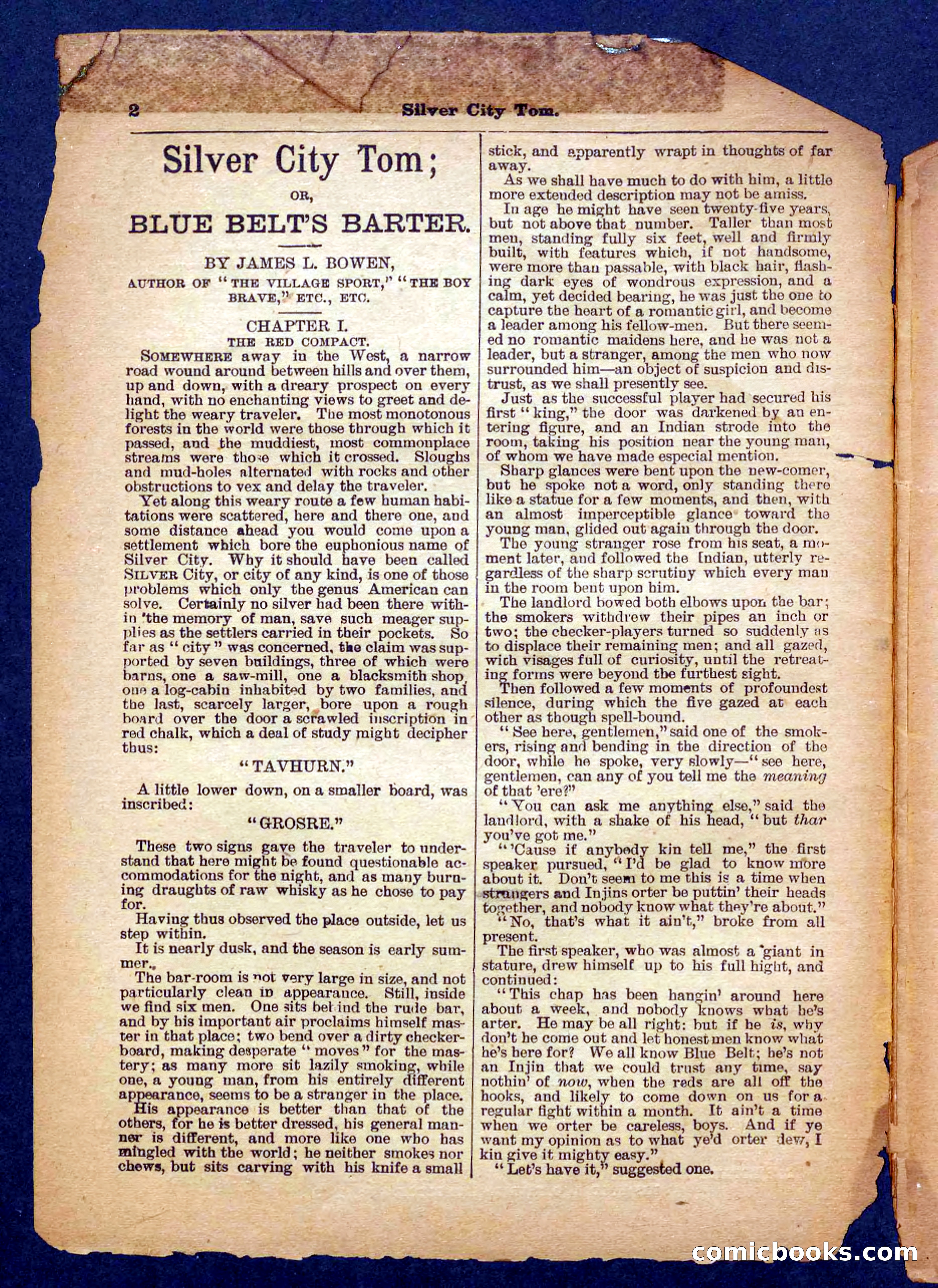 Beadle's Pocket Library No. 484 — page 2 of 32