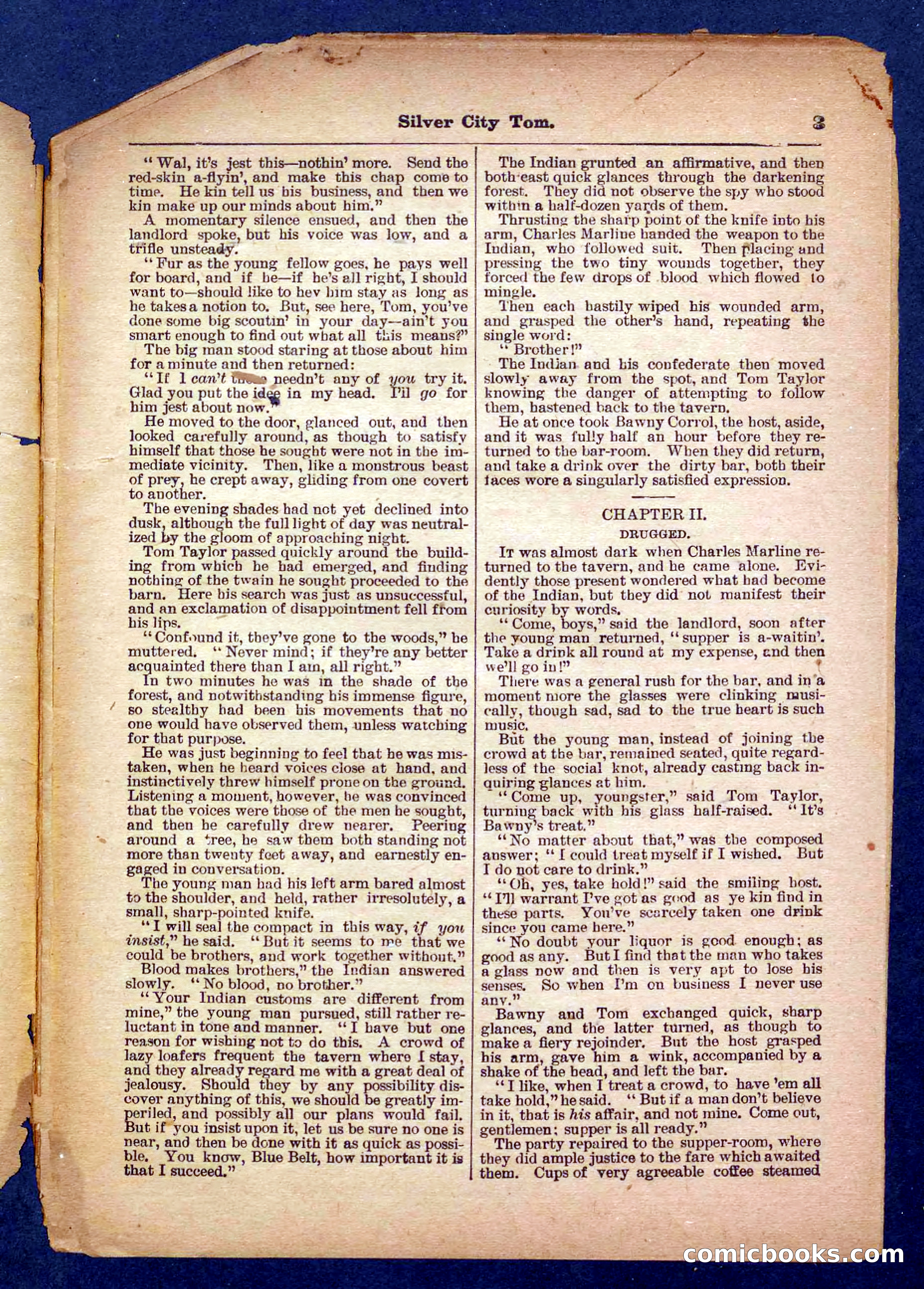 Beadle's Pocket Library No. 484 — page 3 of 32