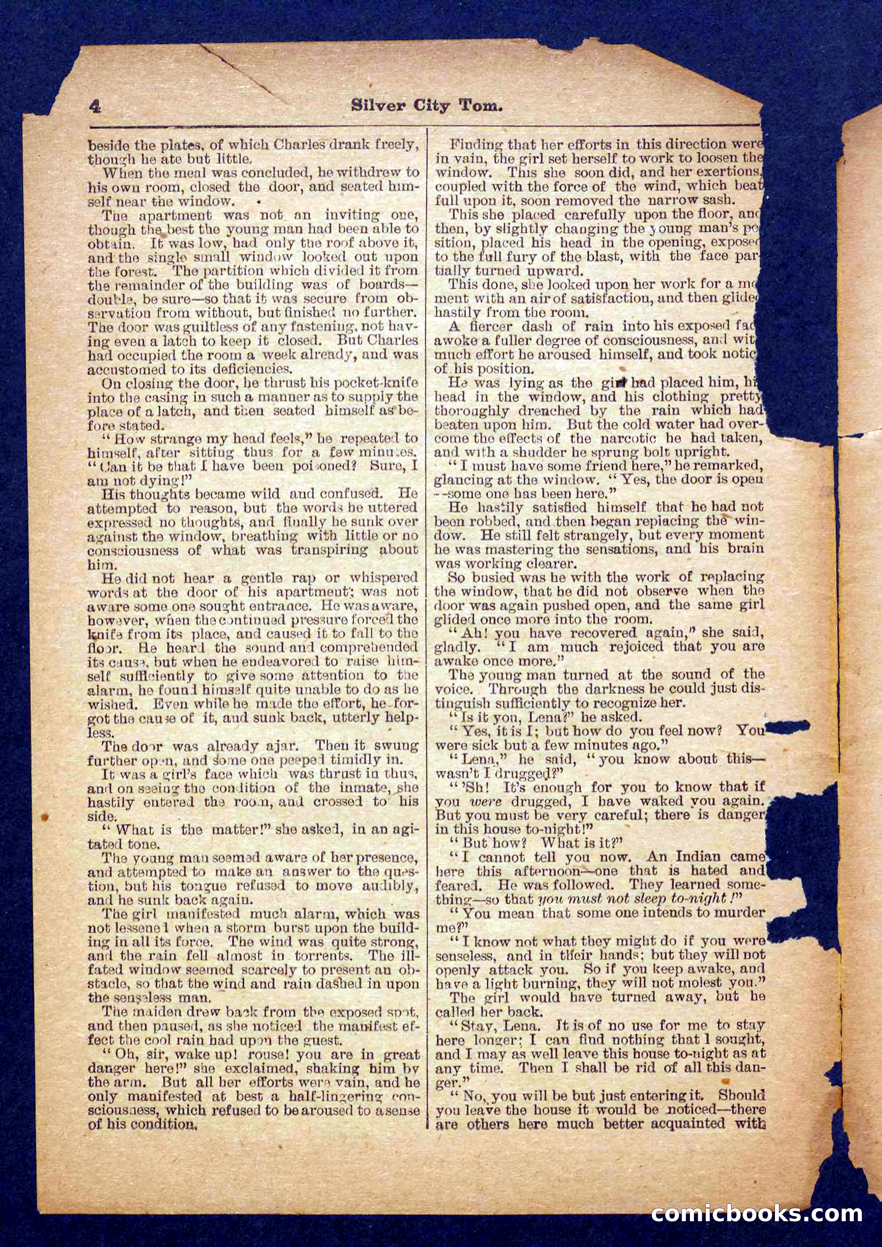 Beadle's Pocket Library No. 484 — page 4 of 32