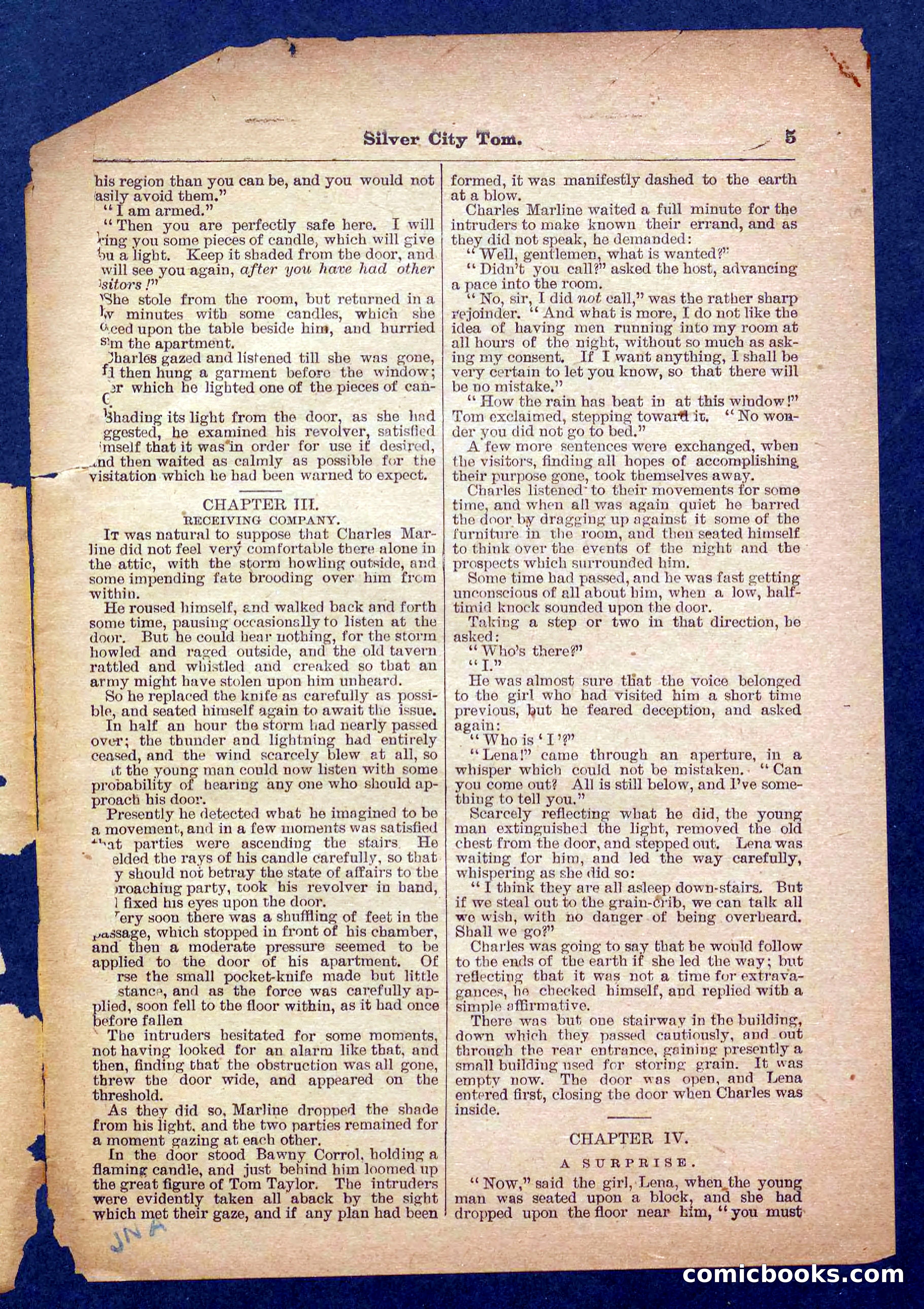 Beadle's Pocket Library No. 484 — page 5 of 32