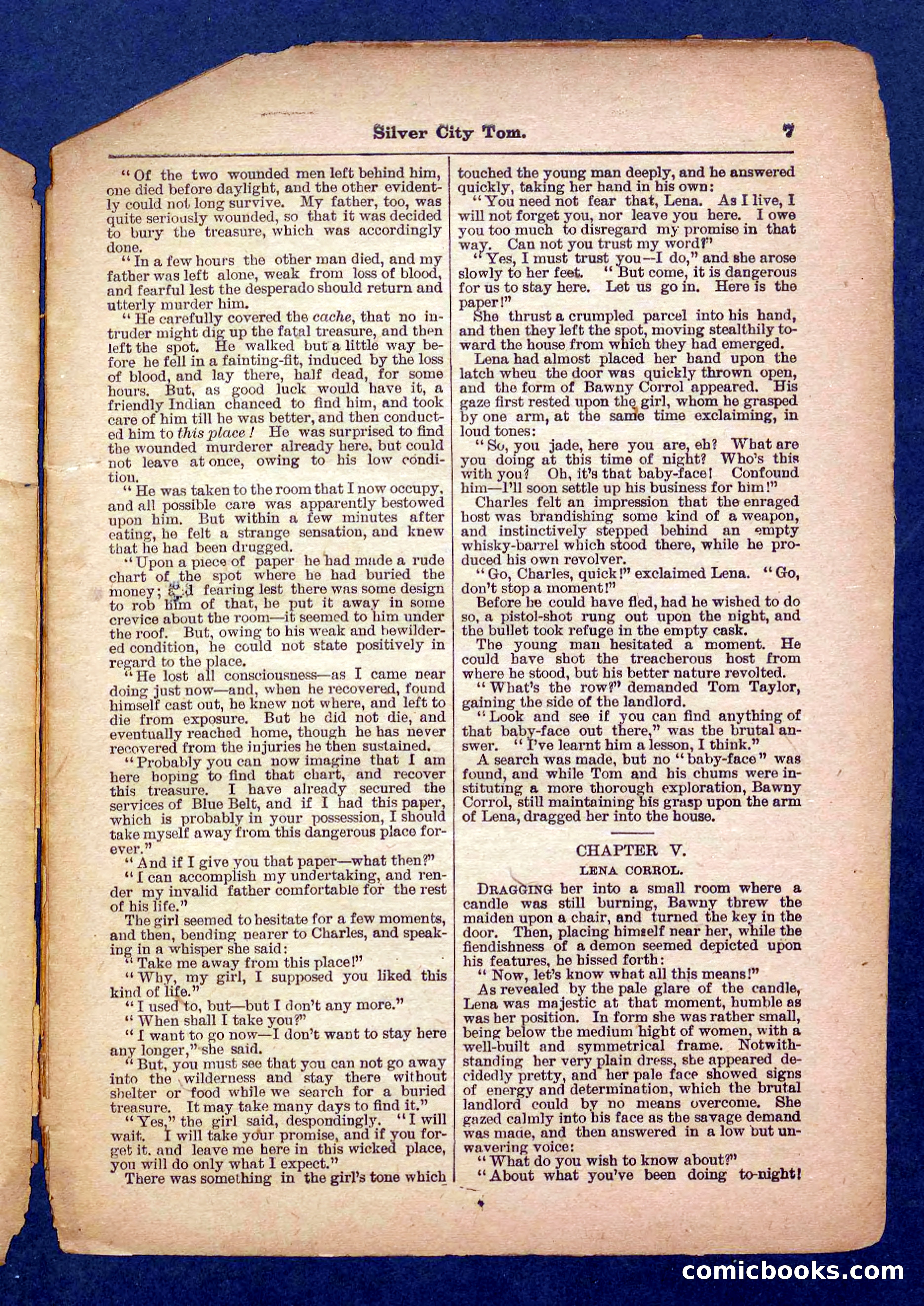 Beadle's Pocket Library No. 484 — page 7 of 32