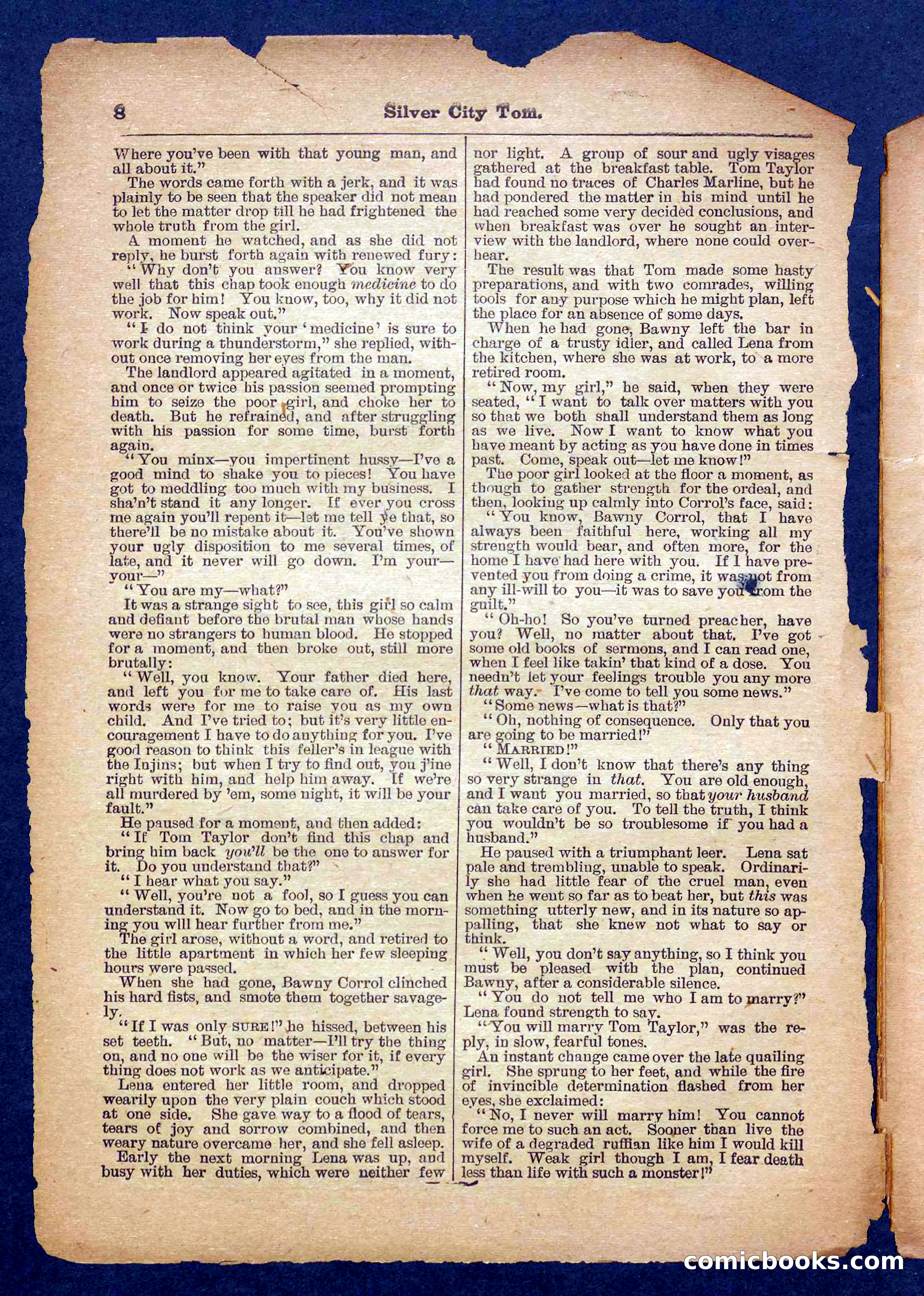 Beadle's Pocket Library No. 484 — page 8 of 32